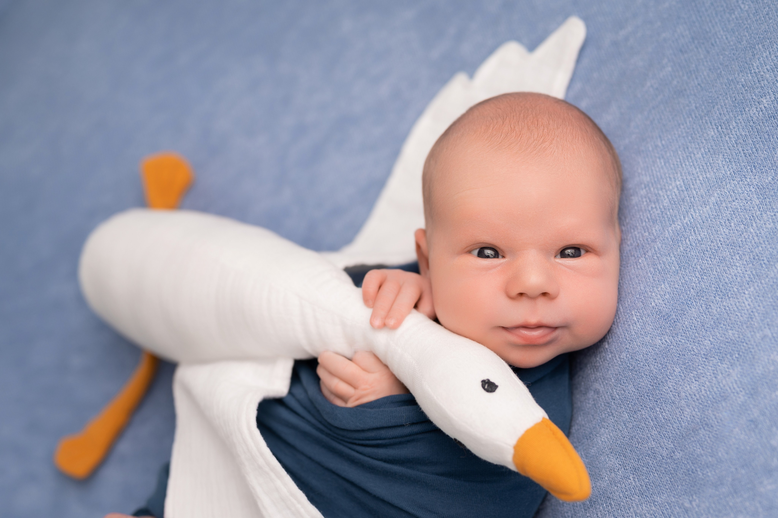 фото новорожденного