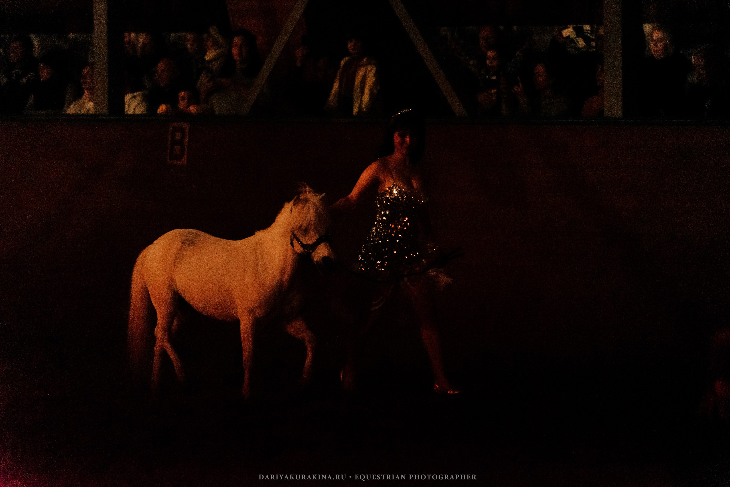 Конное представление «Дыхание Звёзд». Конный фотограф Куракина Дарья • Фотосессии с лошадьми