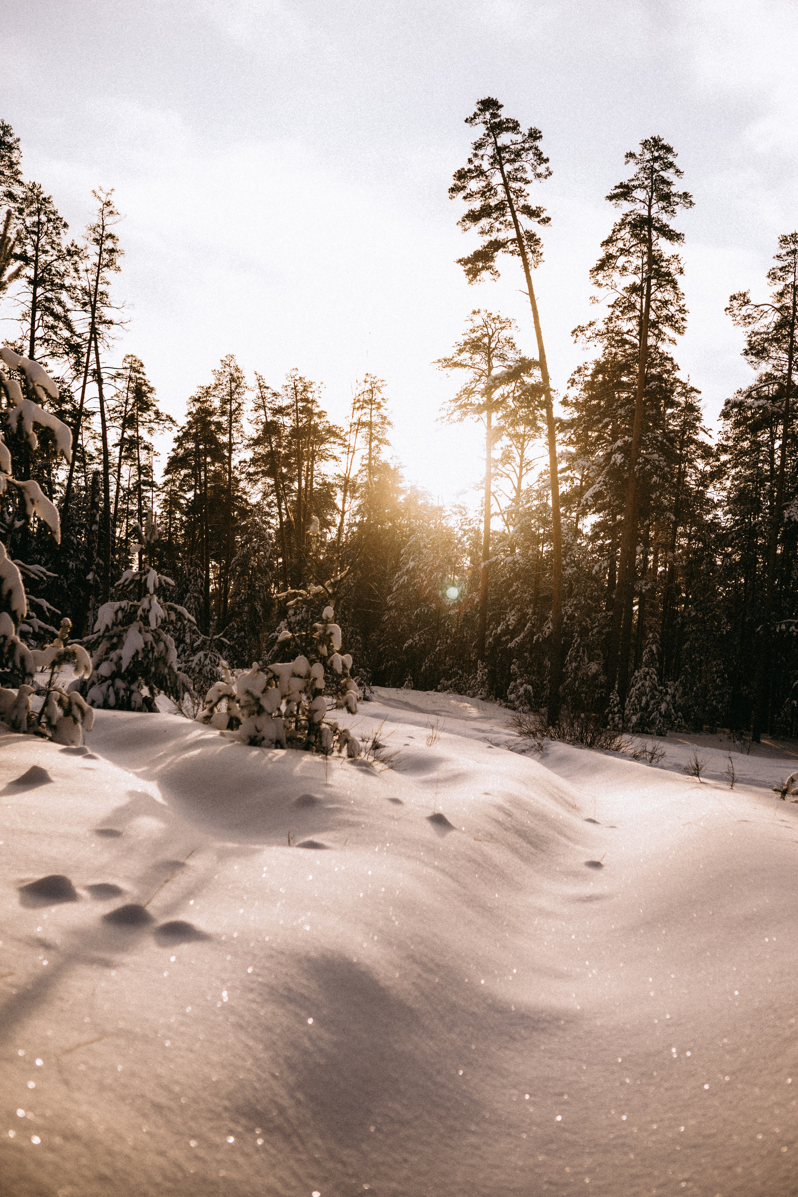 Марина + Женя + Соня. Лайфстайл фотограф в Чебоксарах и Санкт-Петербурге Тоня Бекнёва