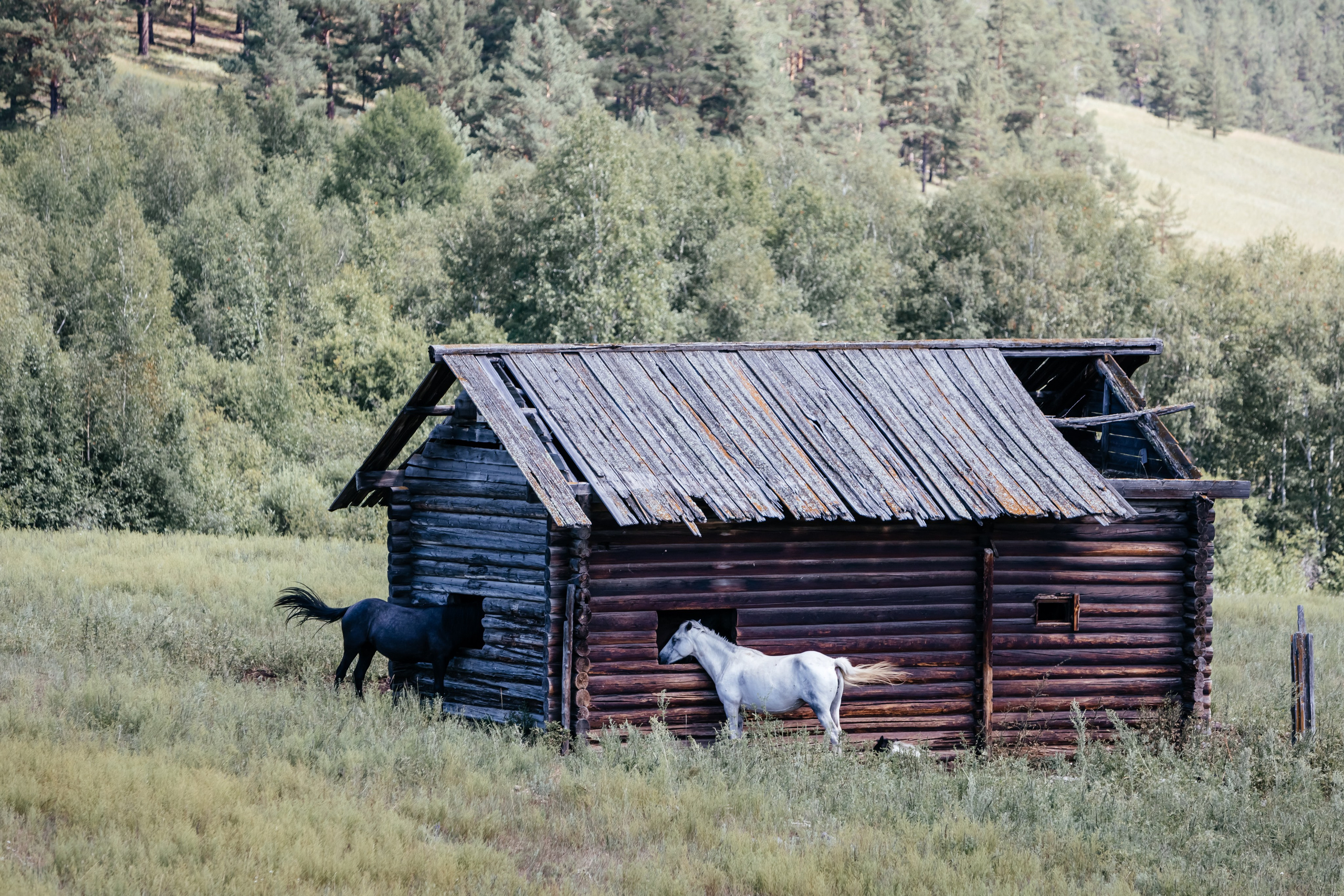Байкал. Фотограф в Красноярске Оксана Корчагина