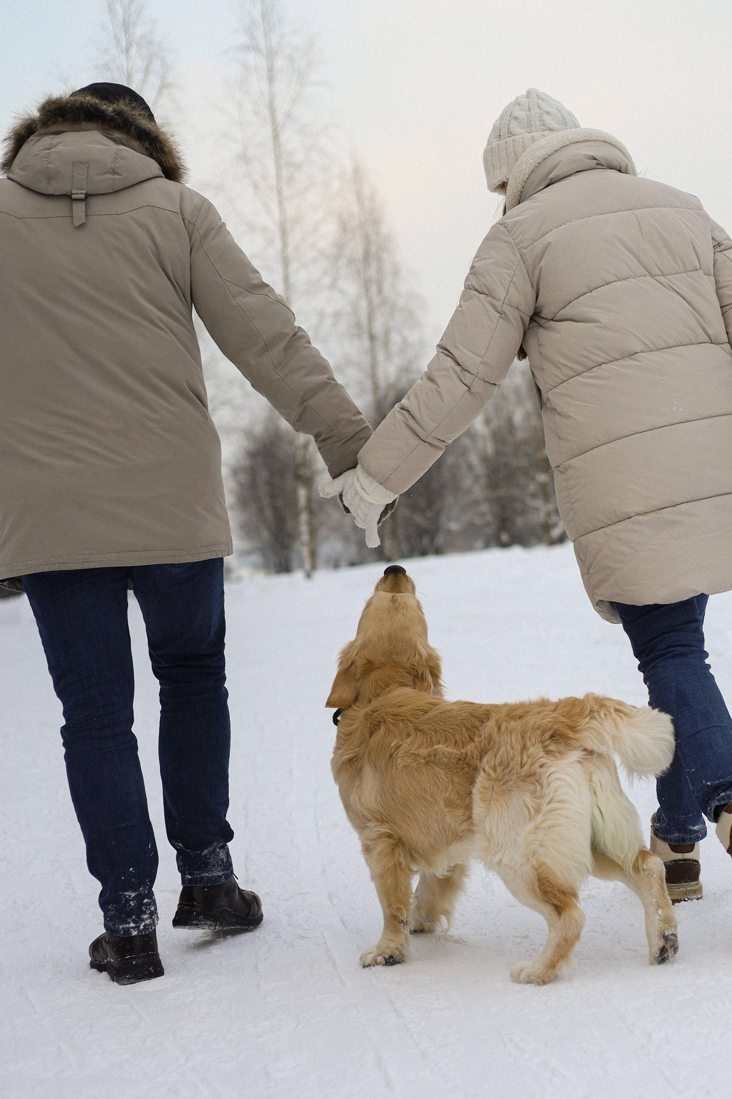 Стивен, Лена и Миша. Фотограф-анималист Ксения Шевцова|Москва