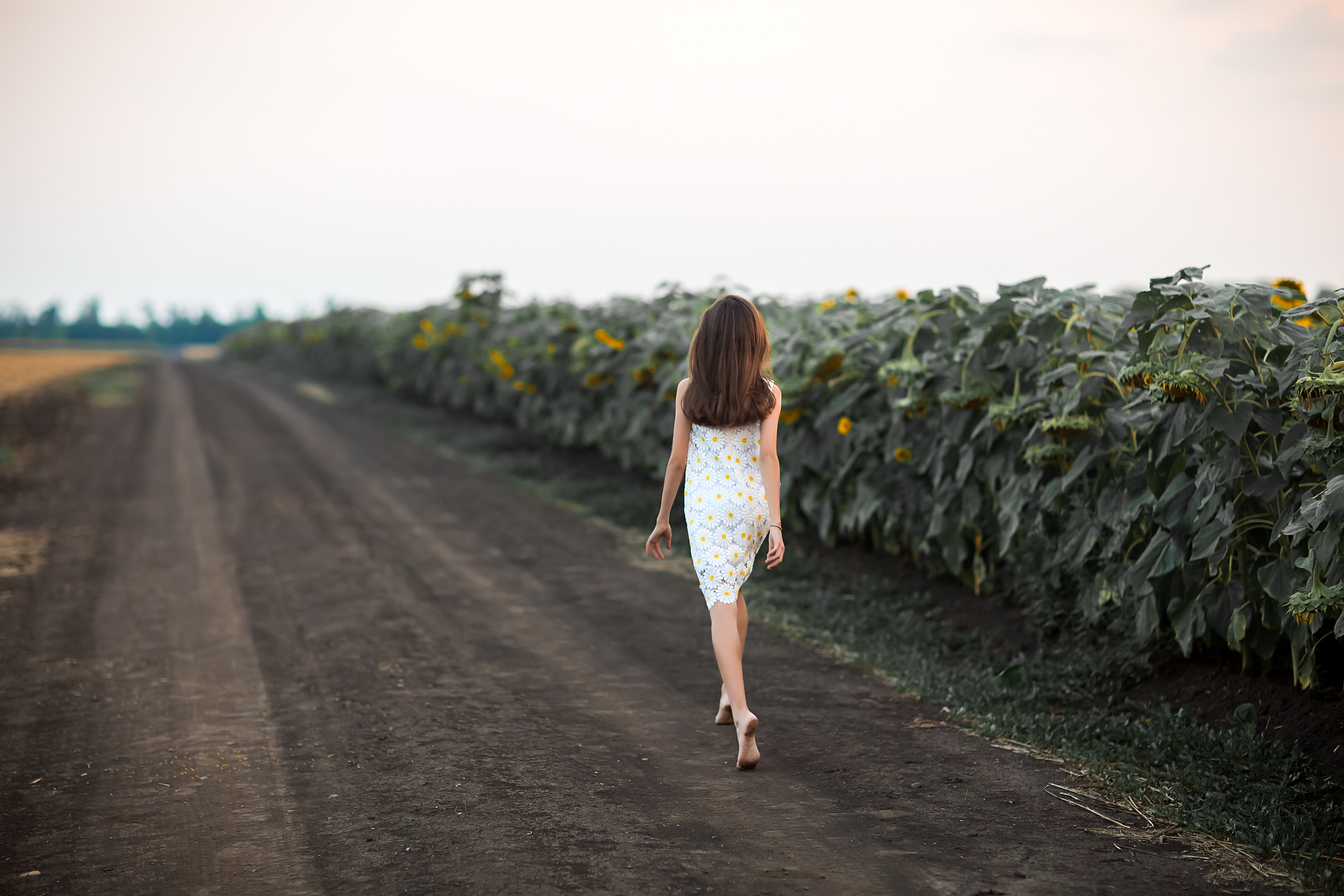 Прогулка на закате. Свадебный и семейный фотограф/видеограф в Краснодаре Наталья Осинская