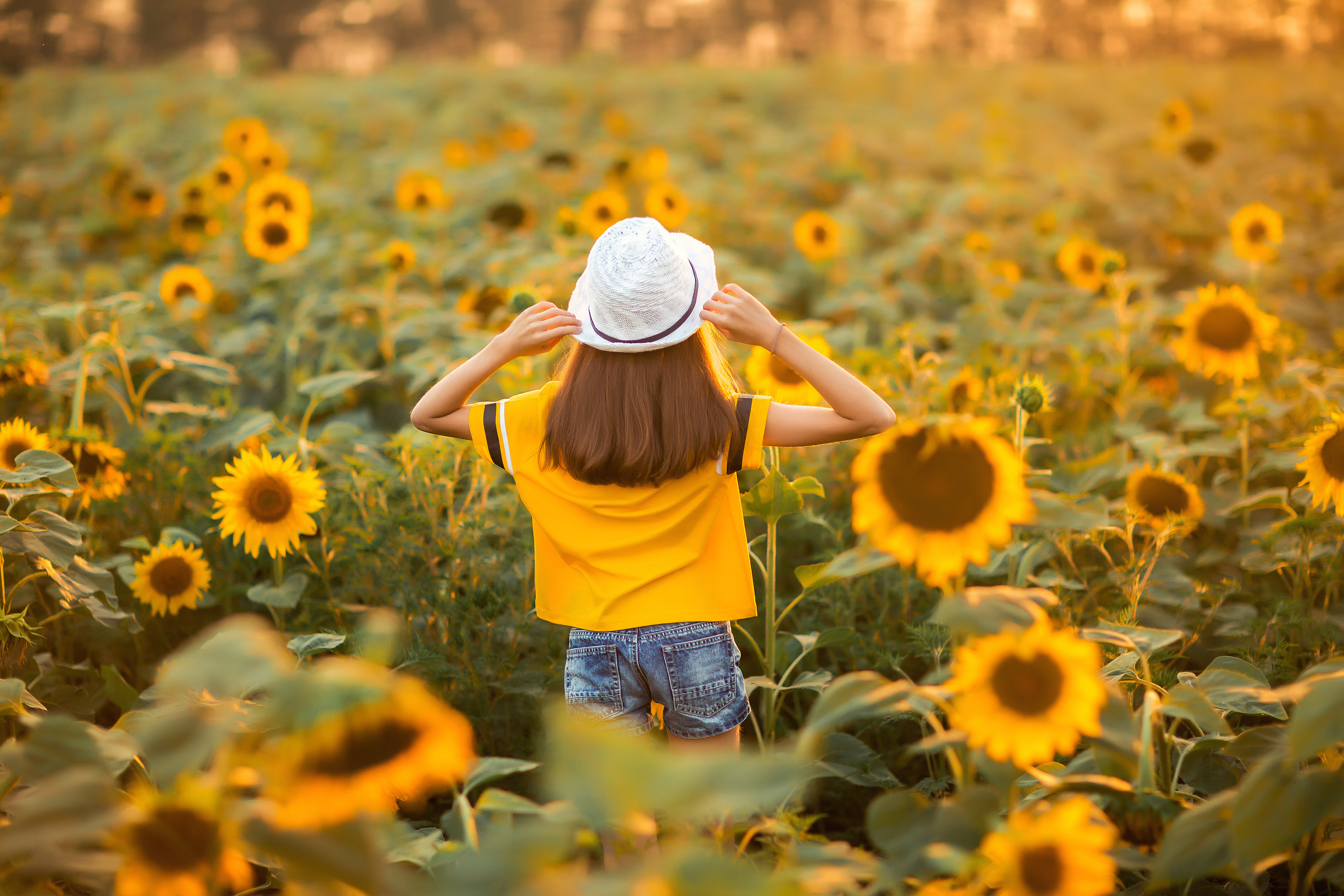 Прогулка на закате. Свадебный и семейный фотограф/видеограф в Краснодаре Наталья Осинская