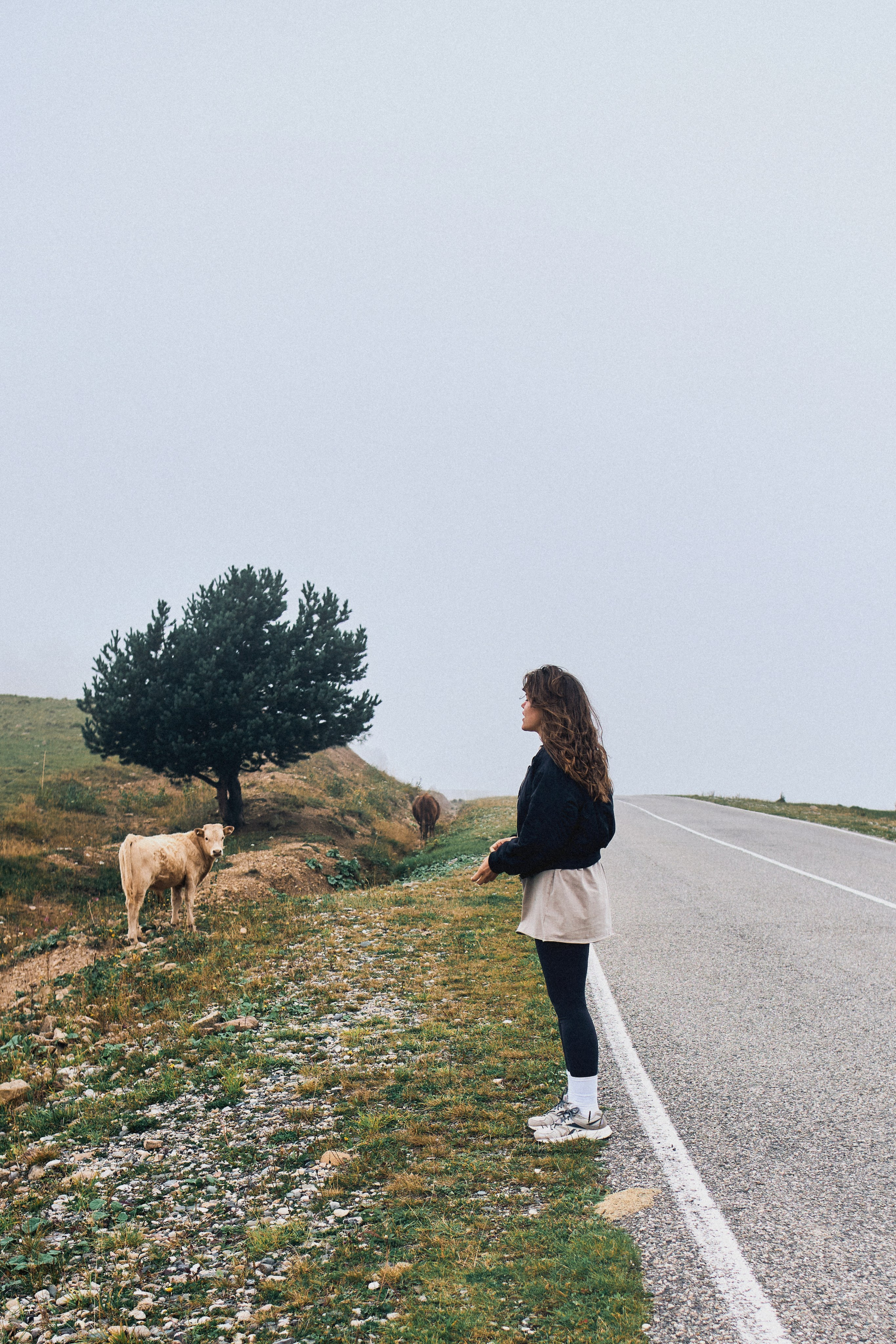 Kavkaz. SHILOVA PHOTO. Шилова Екатерина. Фотограф. Москва