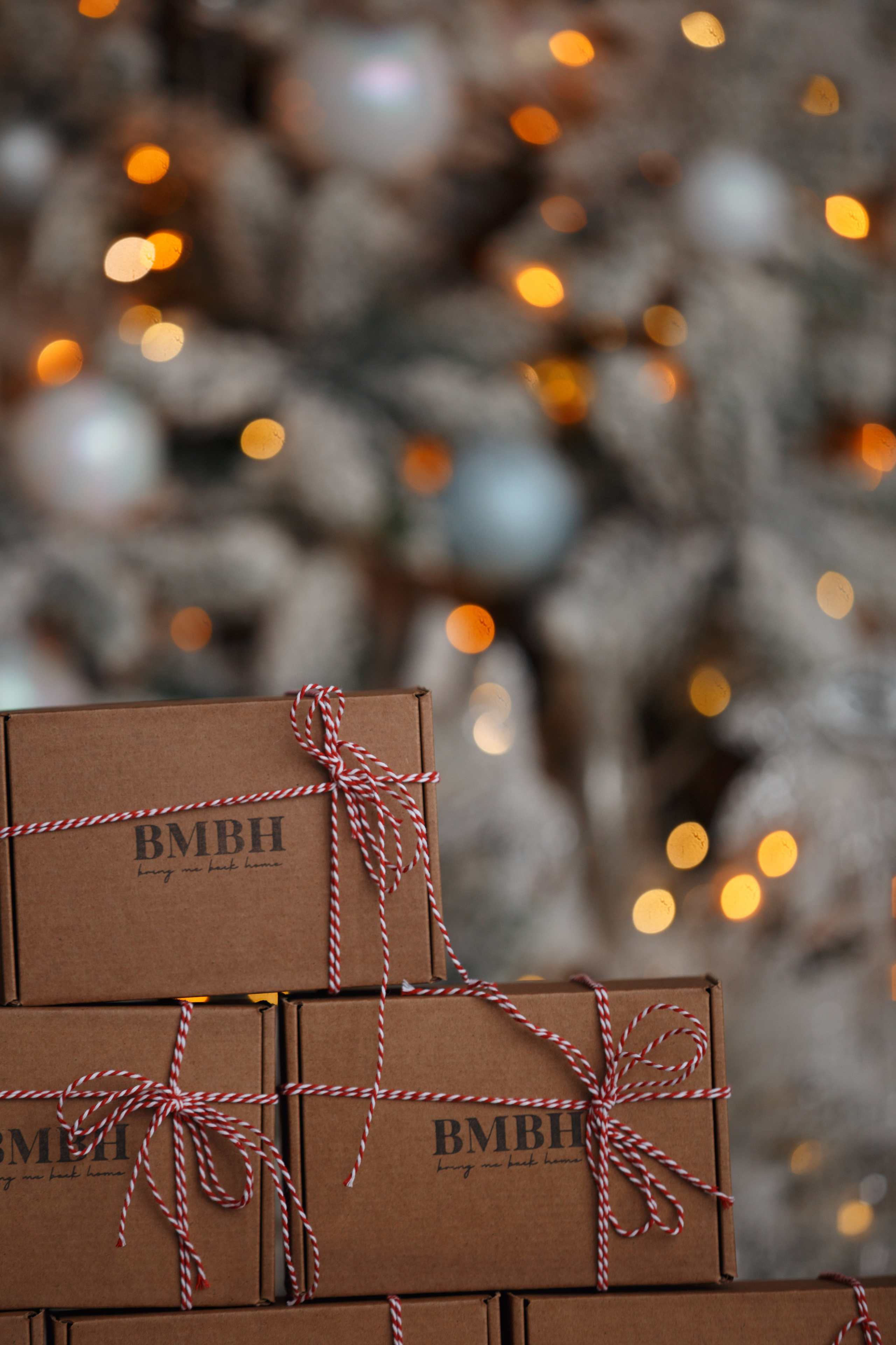 Bmbh лежанки и адресники. Фотограф анималист Кристина Карпова, Москва