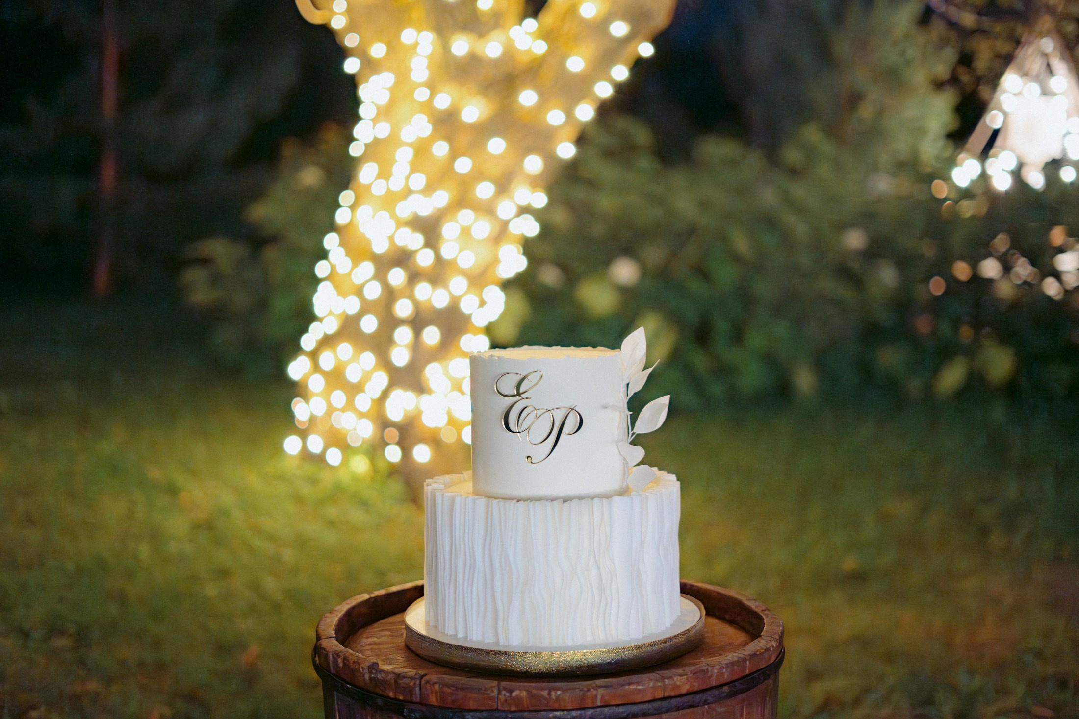 Роман+Лиза. Свадебный и репортажный фотограф Александр Родин