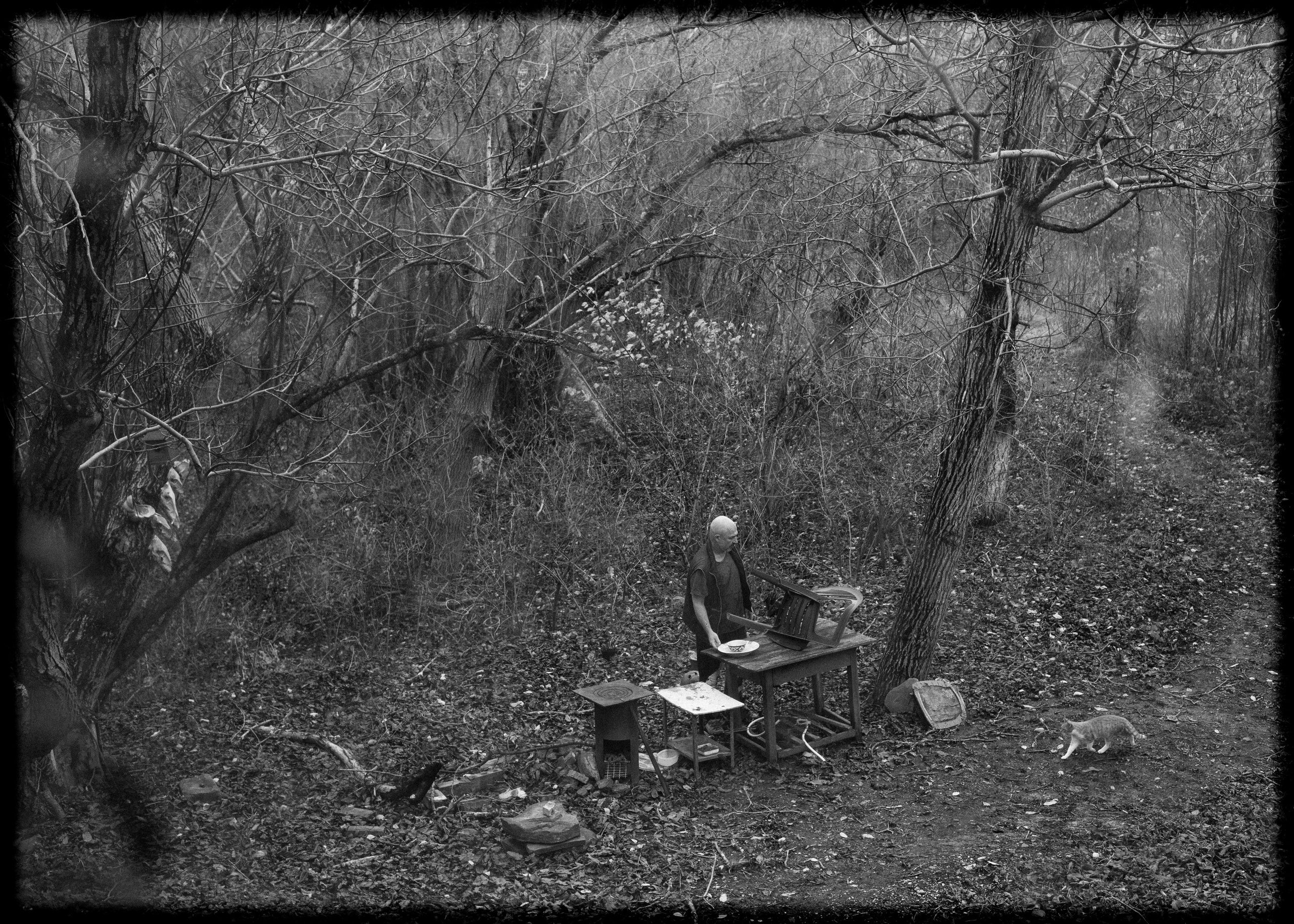 (YarOman) Жизнь в лесу. Фотография, как она есть