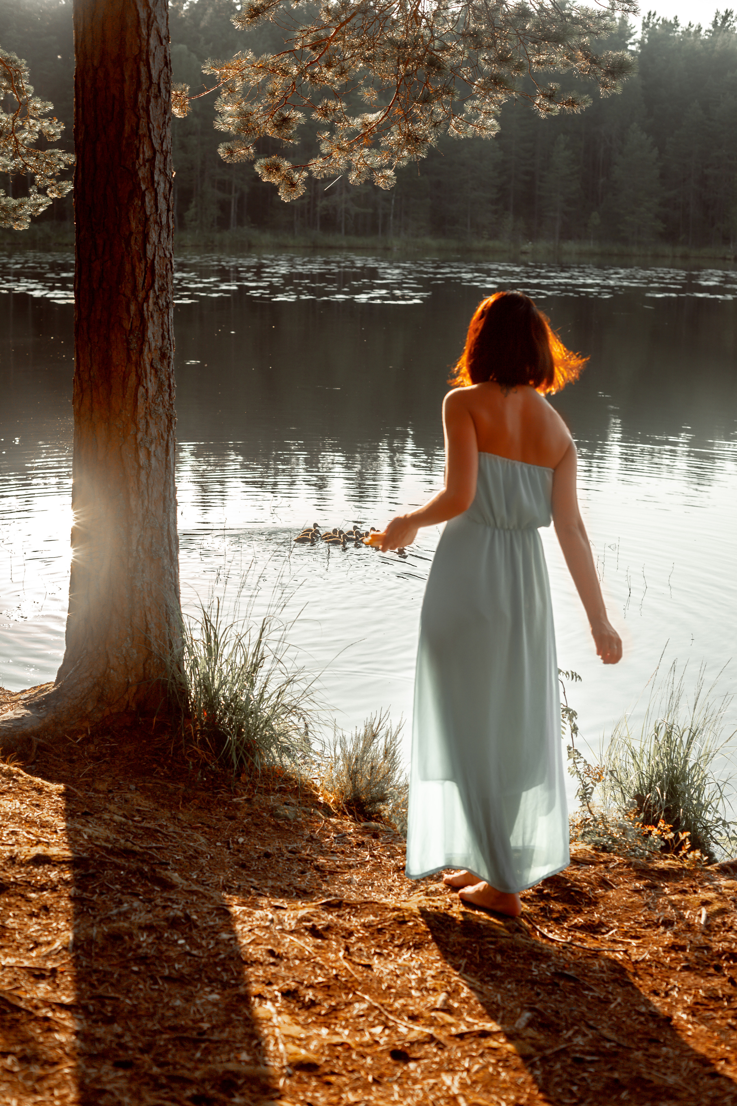 Лесное озеро. Фотограф Анастасия Аветян. Санкт-Петербург