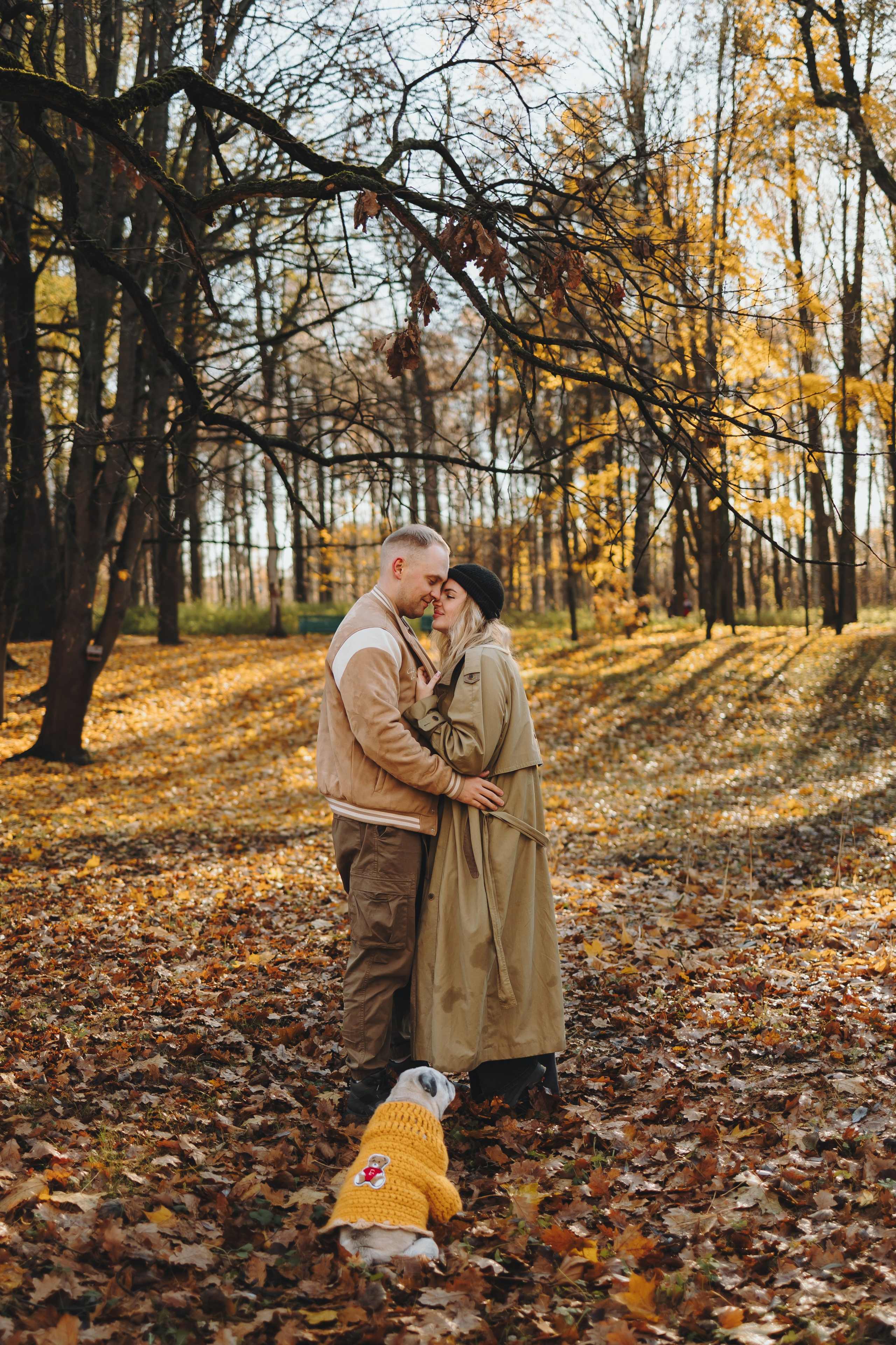 Габи и ребята. Фотограф-анималист в Санкт-Петербурге Алина Яхонт