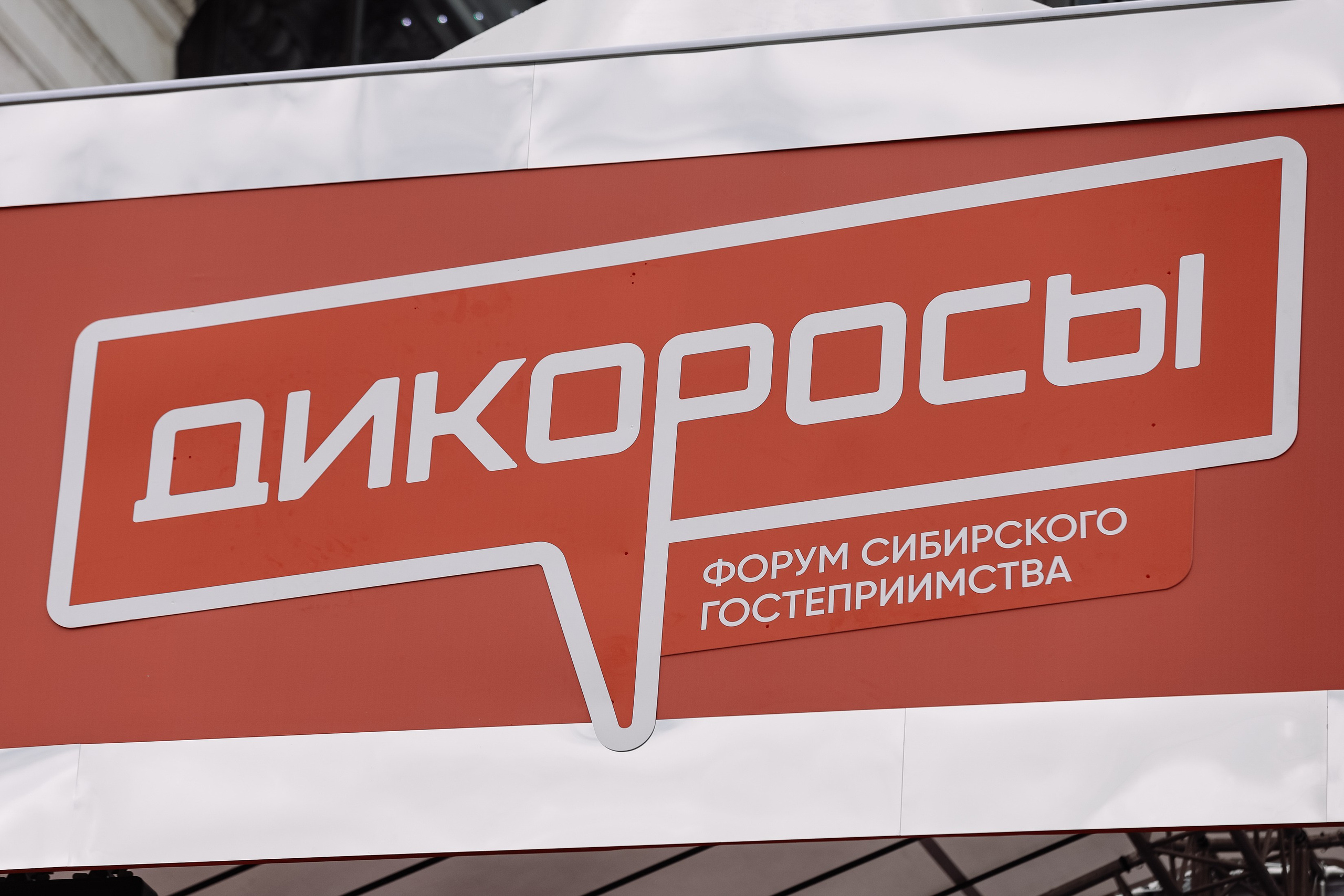 Дикоросы _ Сибирский форум гостиприимства. Фотограф Юлия Мальцева