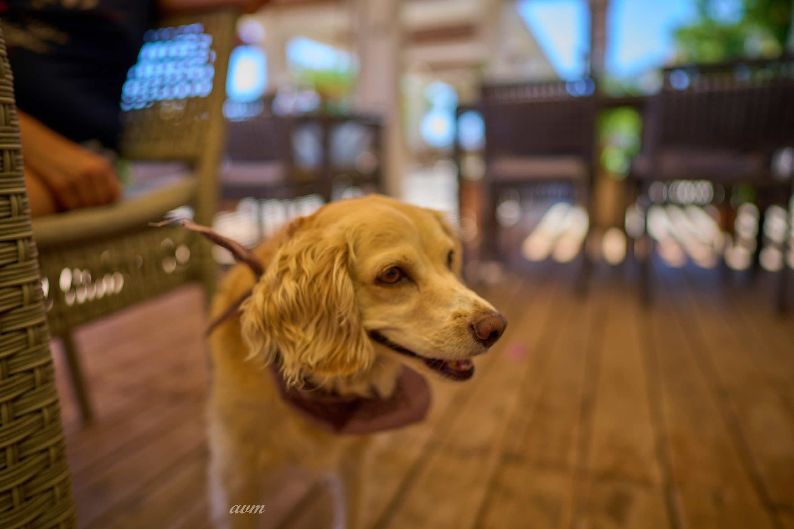 Олюдениз — Каш — Памуккале -Бабадаг (1800 м)Турция 2022. Фотограф Михеев Андрей