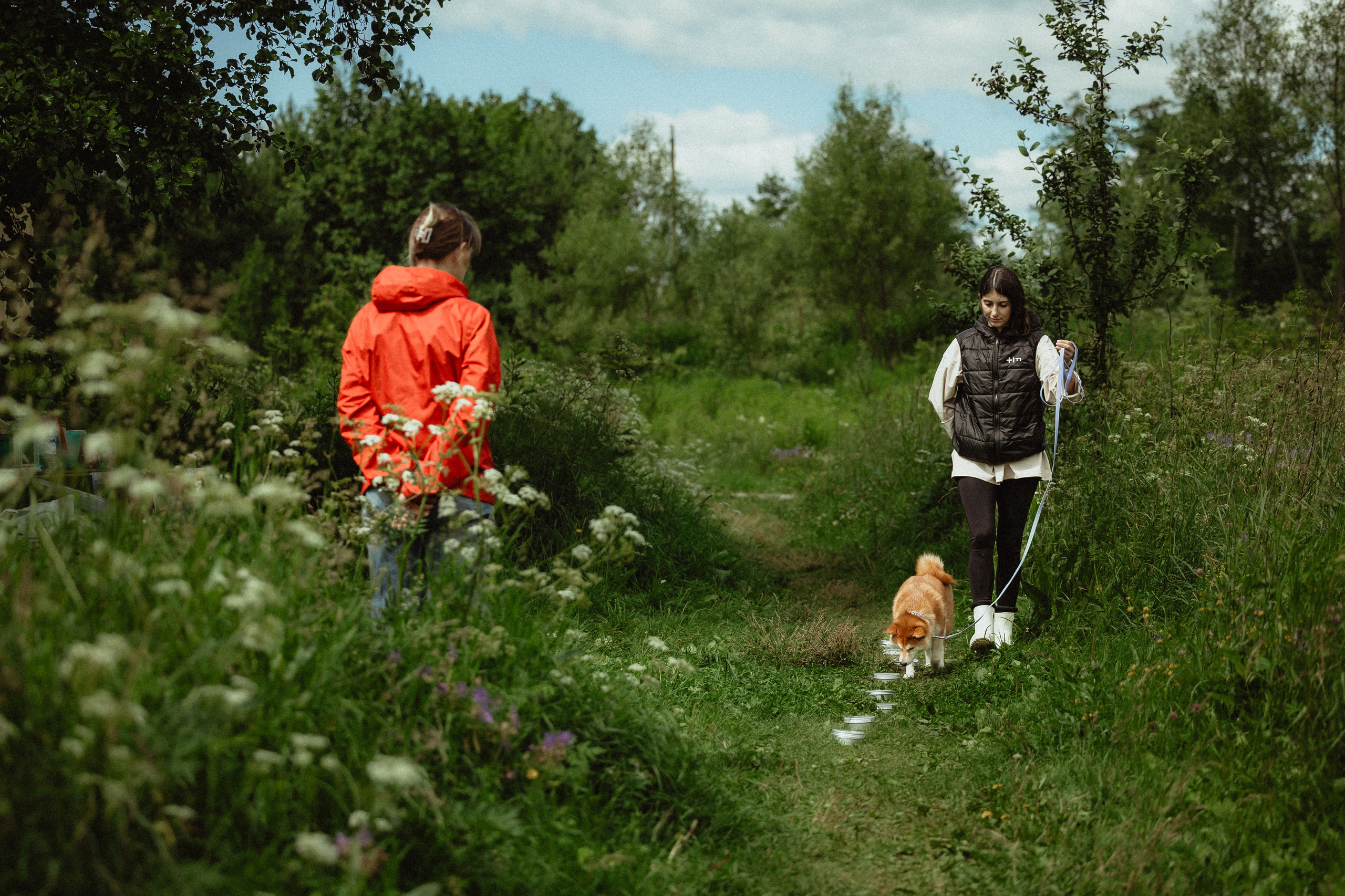 Выездной дог-тренинг от школы «Шерсть имею»