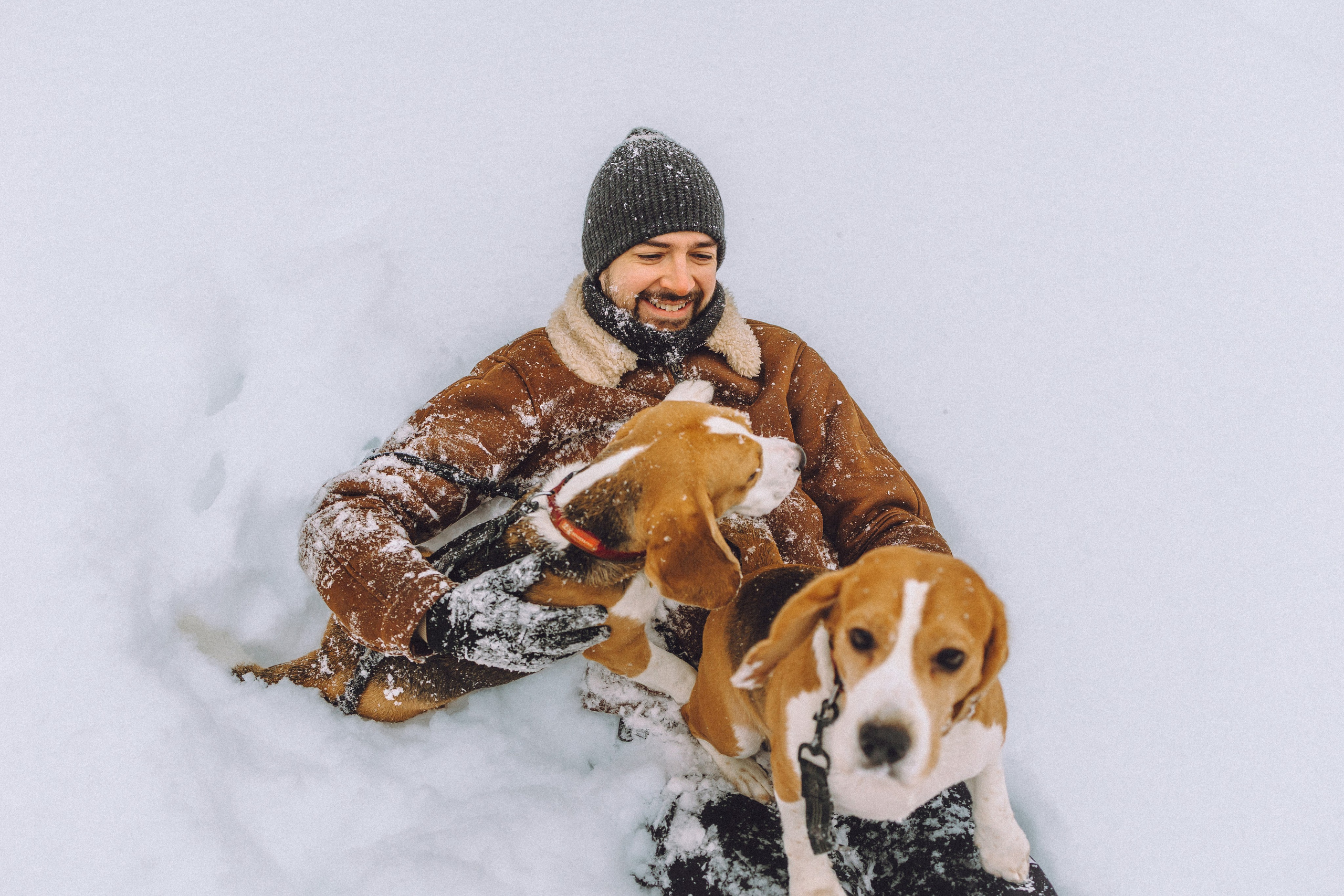 Роман, Портер и Коррес