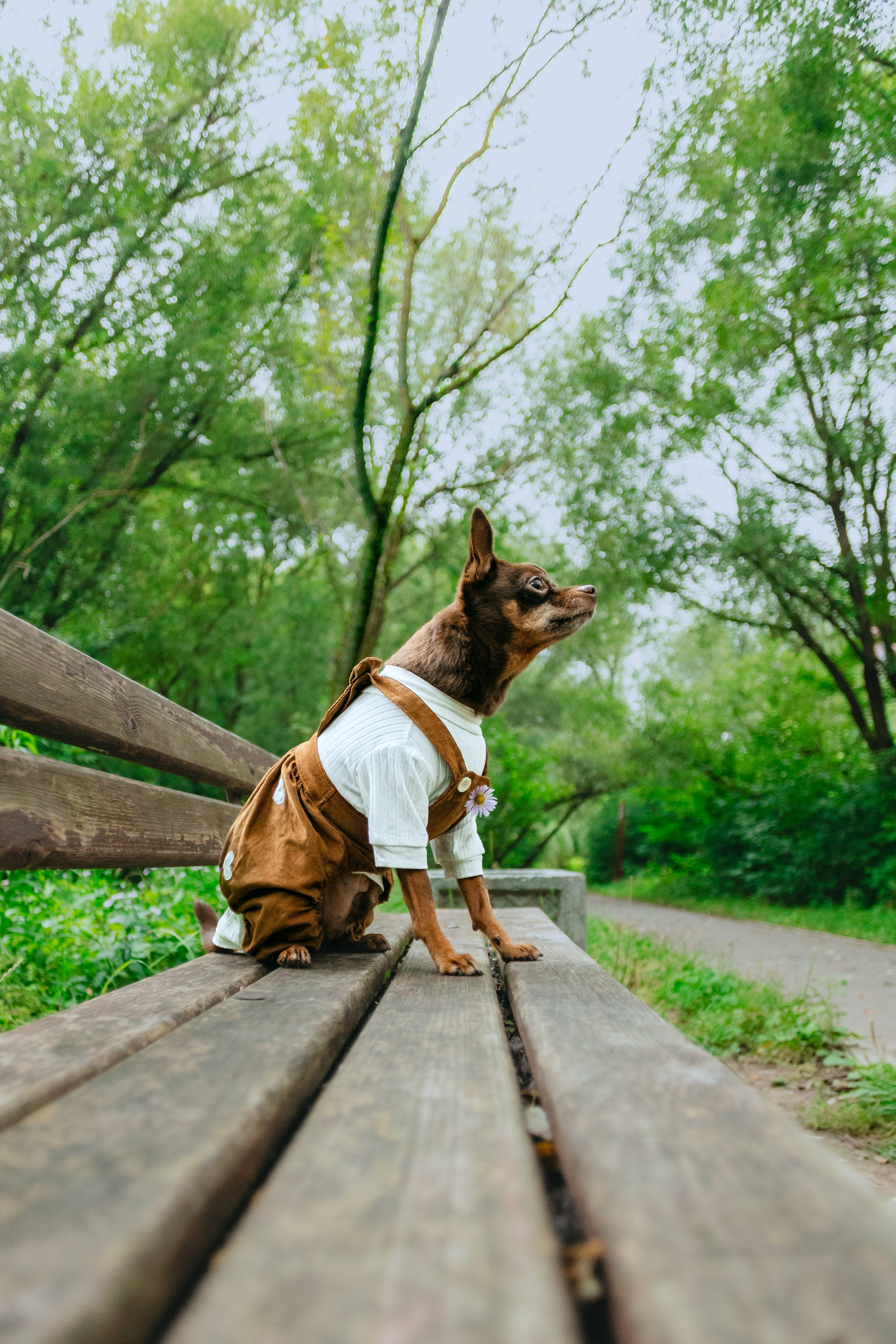 Юля и Леонид. Фотограф-анималист Татьяна Степанова
