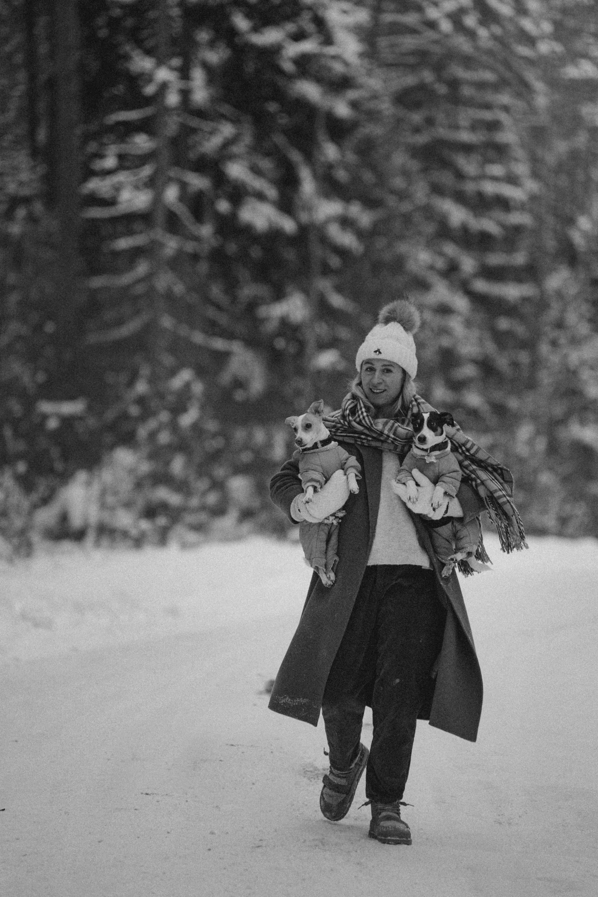 Алина, Ваниль и Элис. Фотограф анималист в Москве и Санкт-Петербурге Свиридова Анна