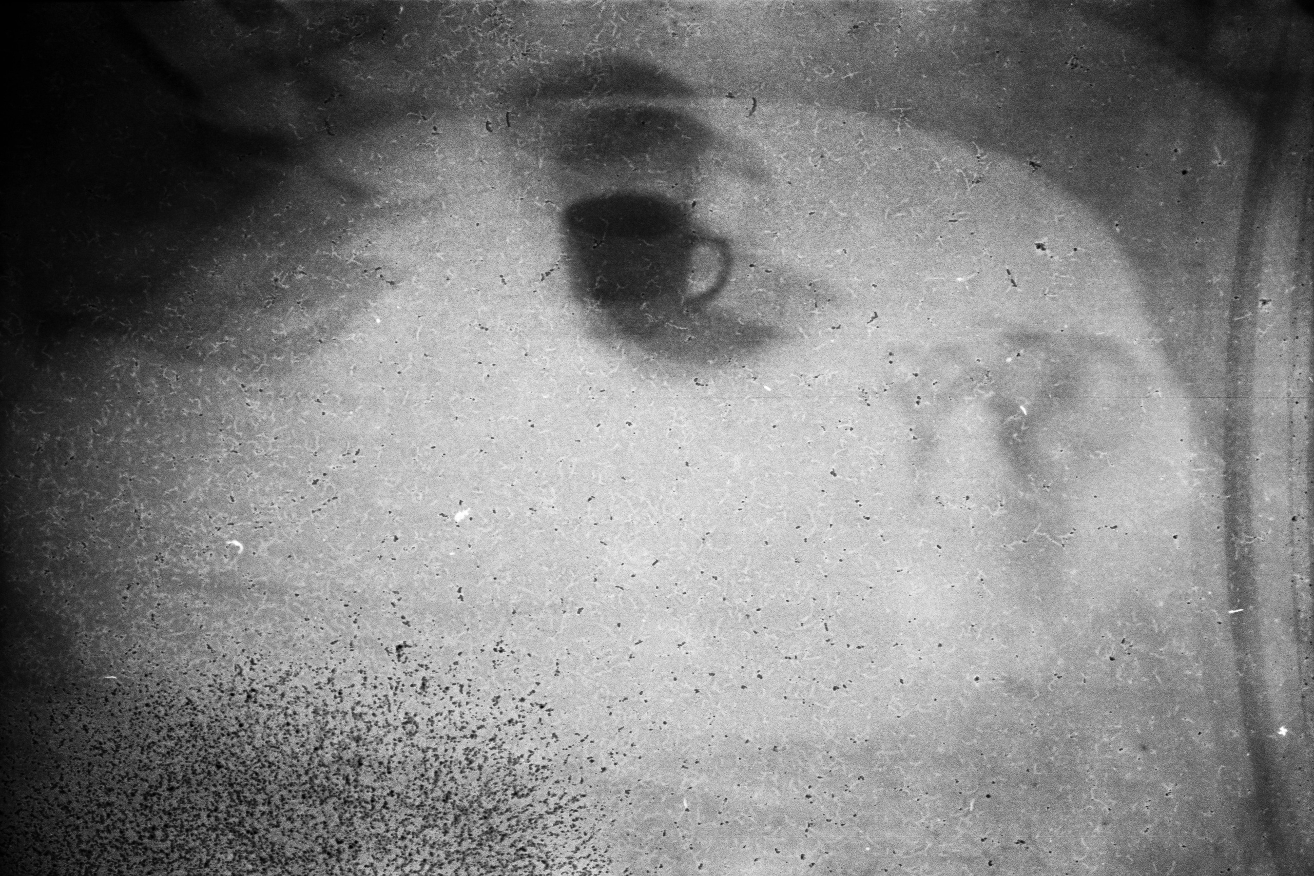 Татьяна Белякова — Фотохудожник | Концептуальная аналоговая фотография