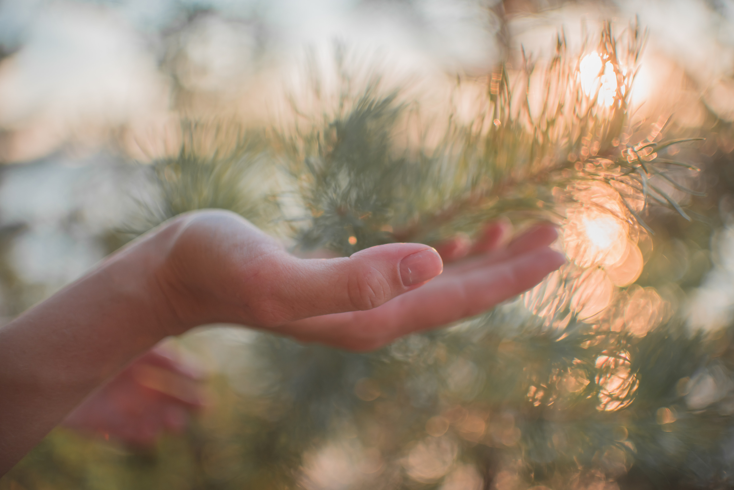 Ксения. Семейный и детский фотограф в Уфе Юлия Суркова