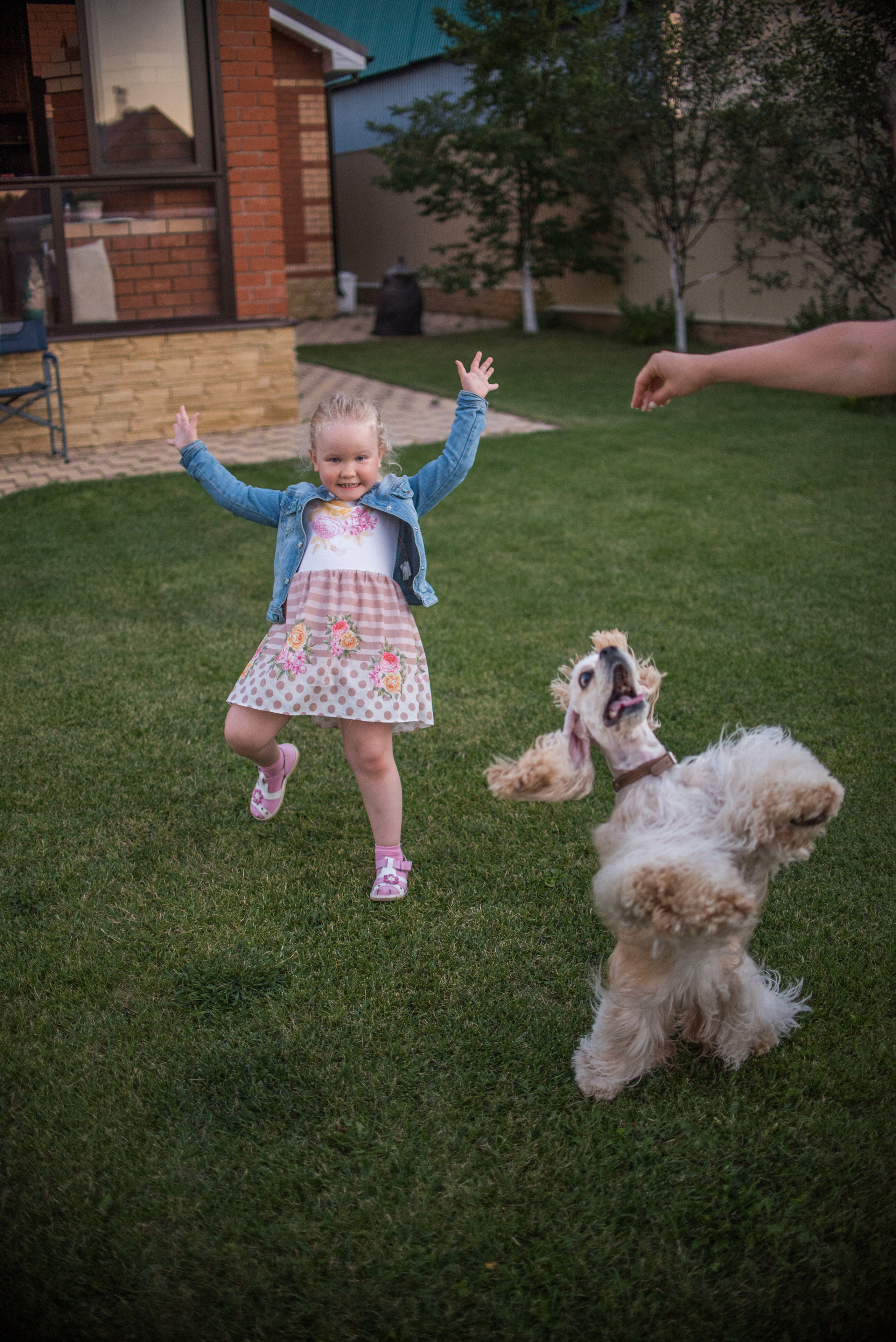 Умная собака Соня. Семейный и детский фотограф в Уфе Юлия Суркова