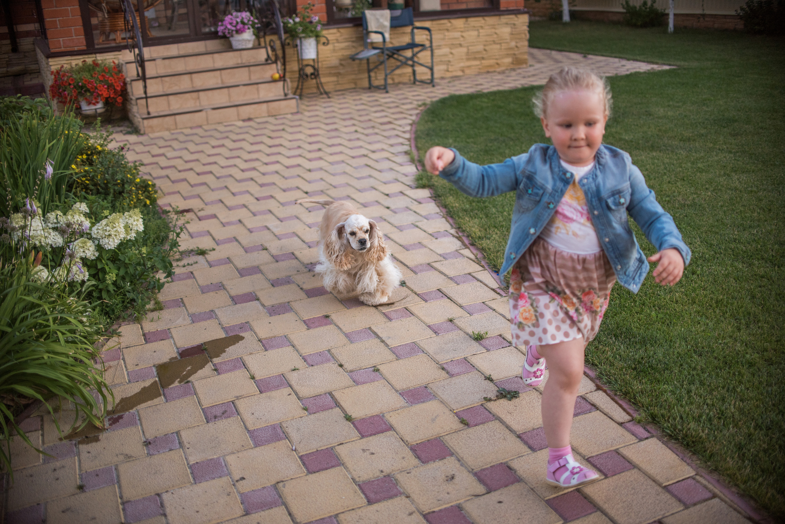 Умная собака Соня. Семейный и детский фотограф в Уфе Юлия Суркова