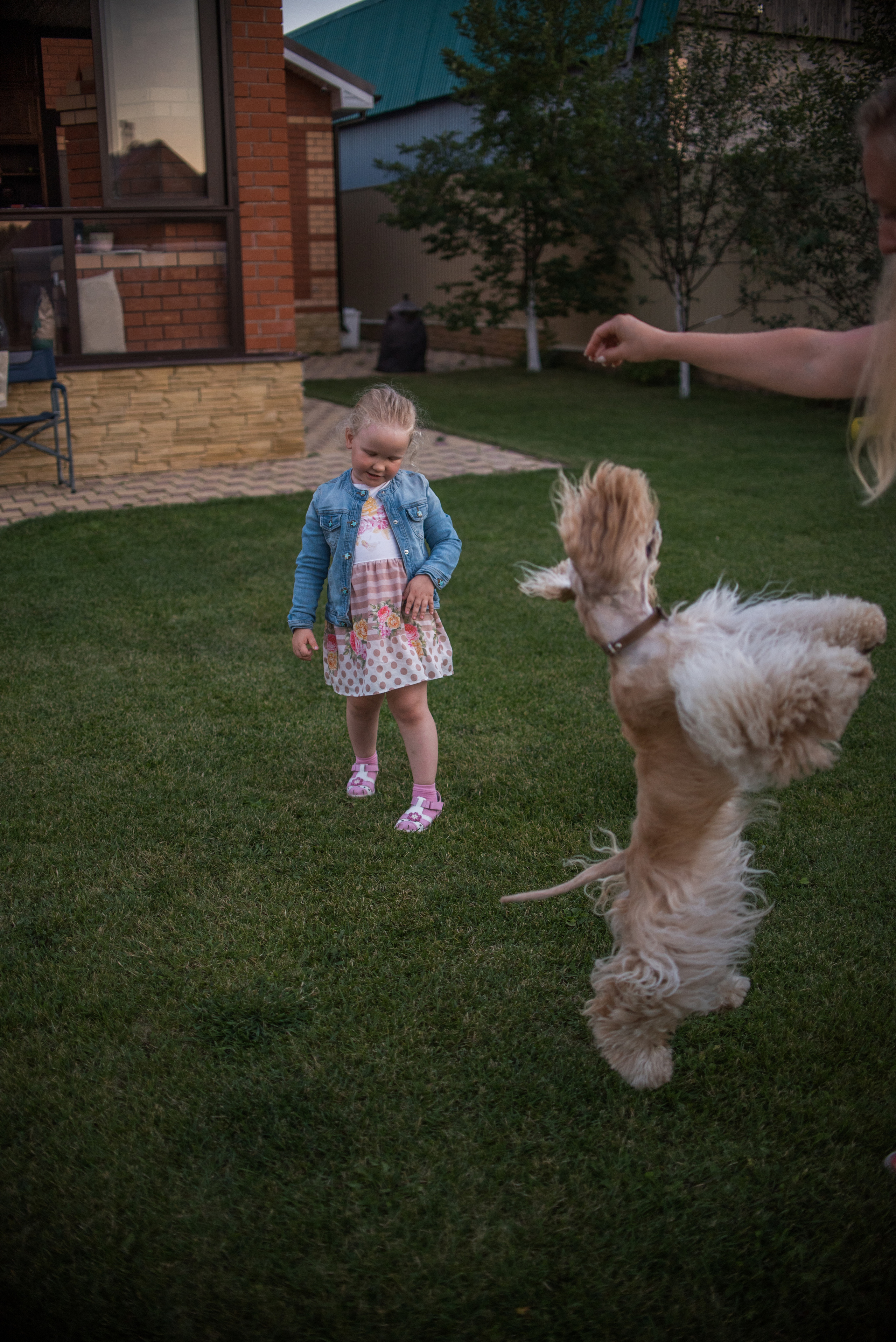 Умная собака Соня. Семейный и детский фотограф в Уфе Юлия Суркова