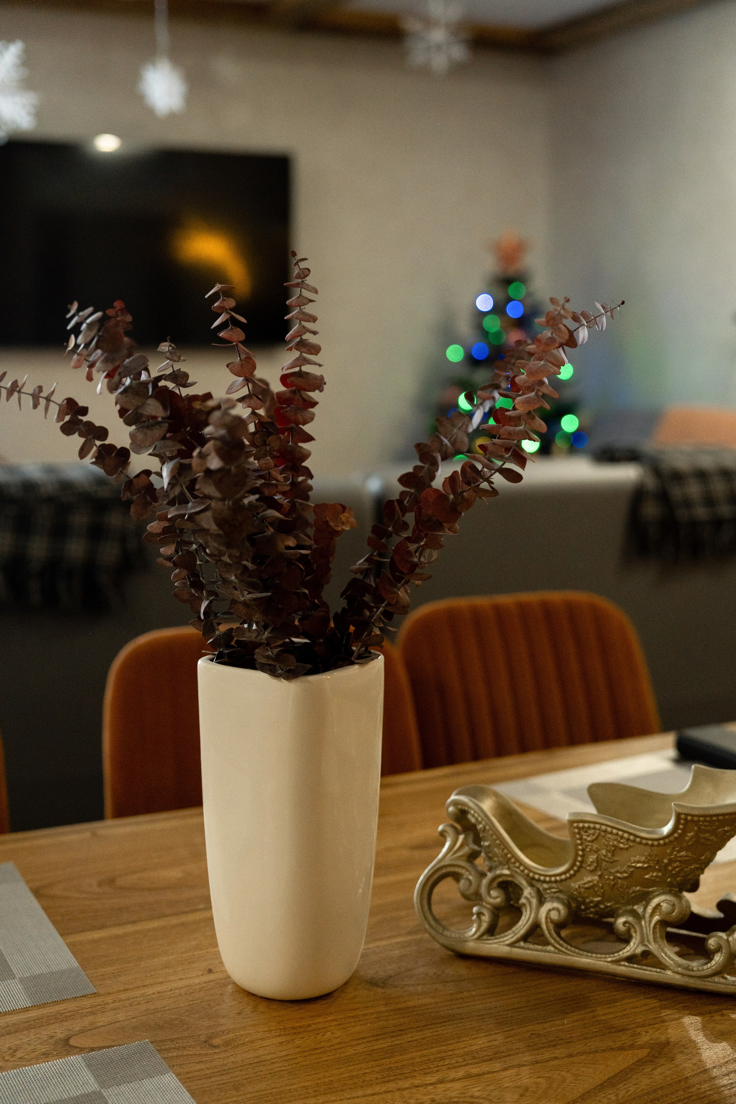 Sofia Shale. Фотограф и видеограф Елена Хмелевская