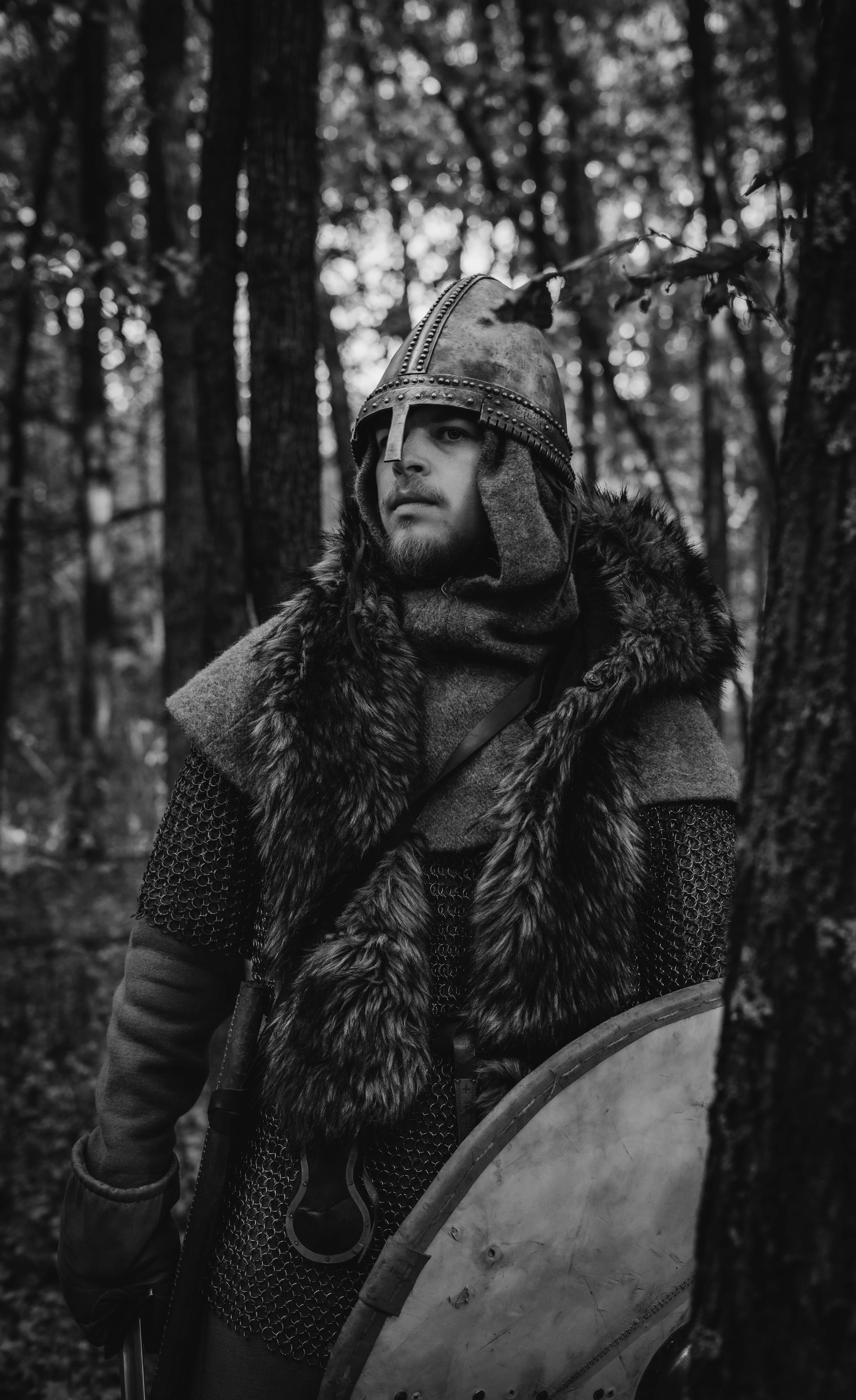 Викинг. Ab extra