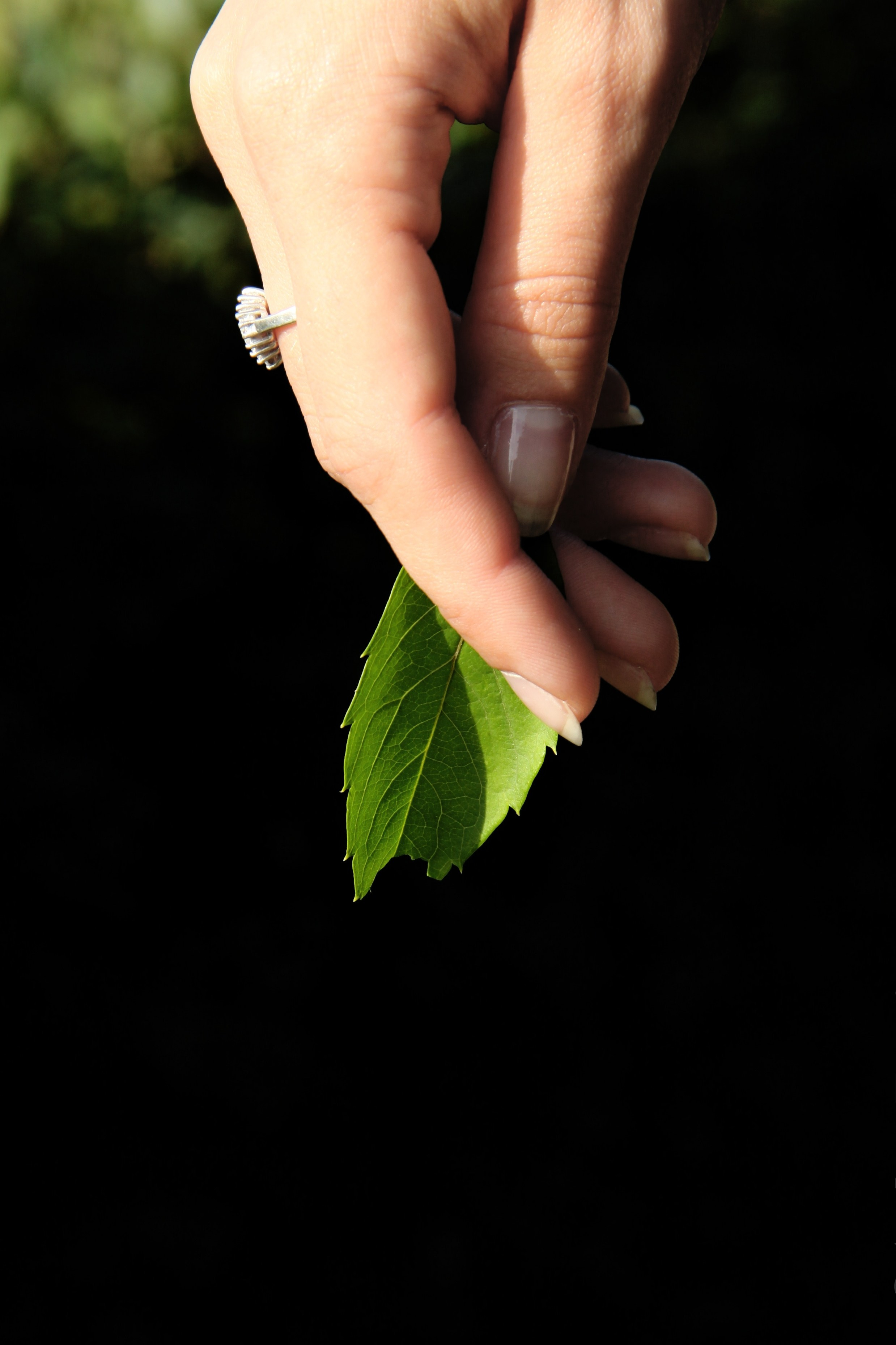 Портретная фотография. Ab extra