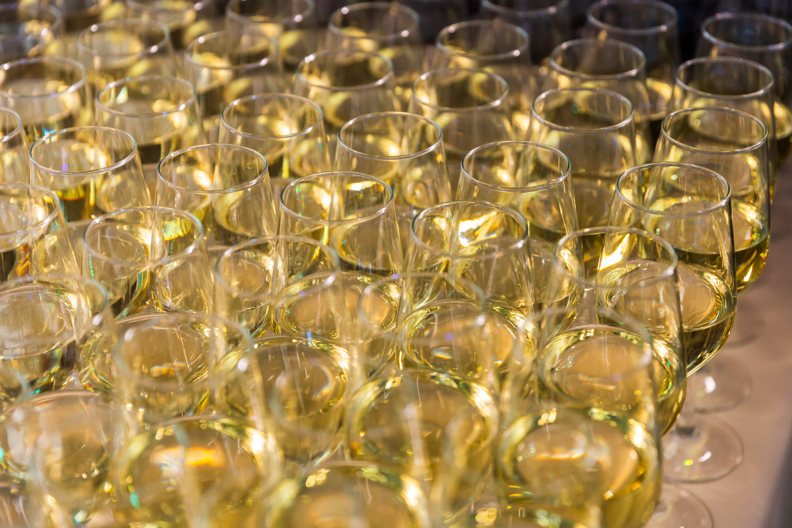 БИЗНЕС КОНТЕНТ. Портфолио свадебного фотографа. Роман Каргаполов