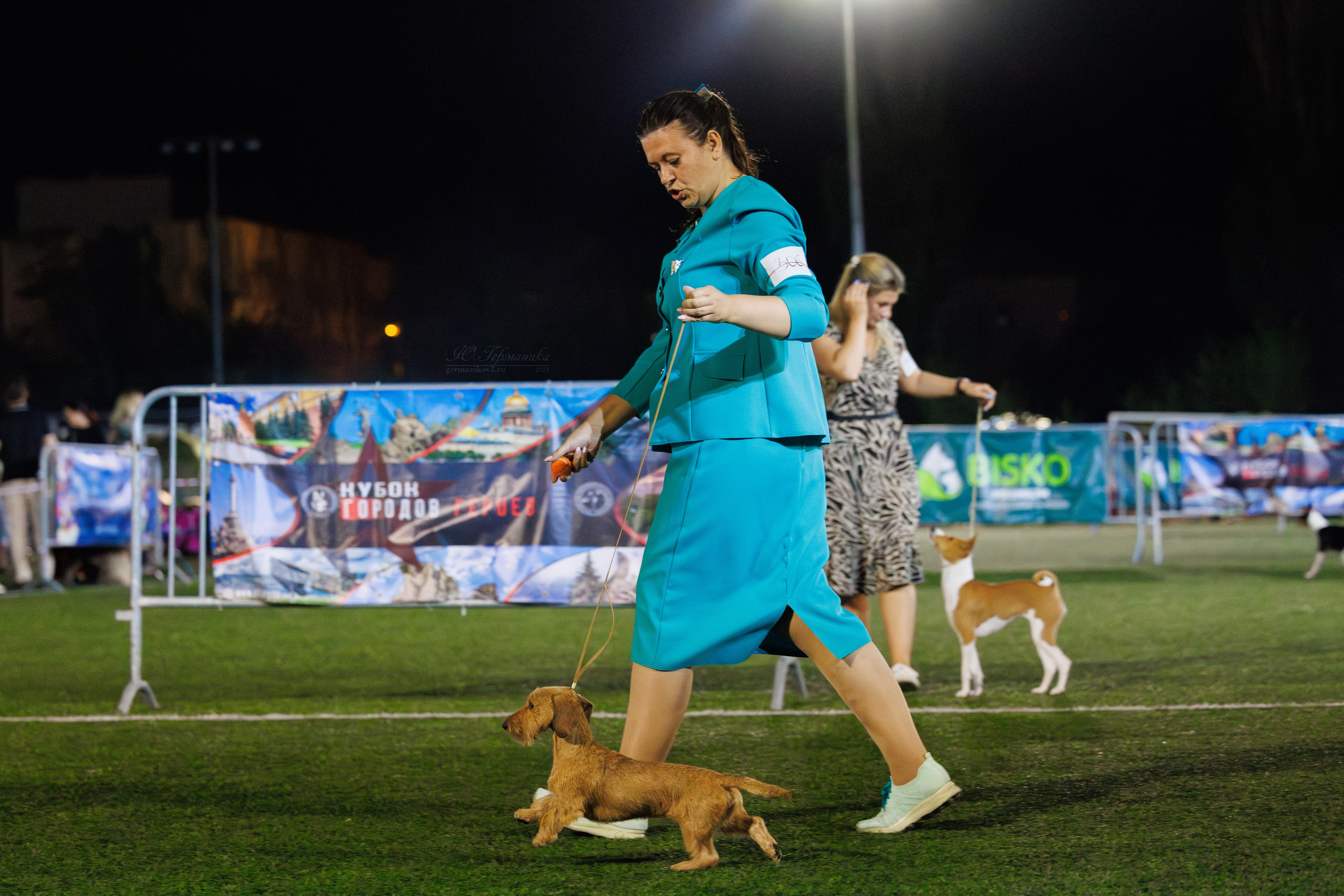 Волгоград 2-4.08.2024. Фотограф-анималист Юлия Германика