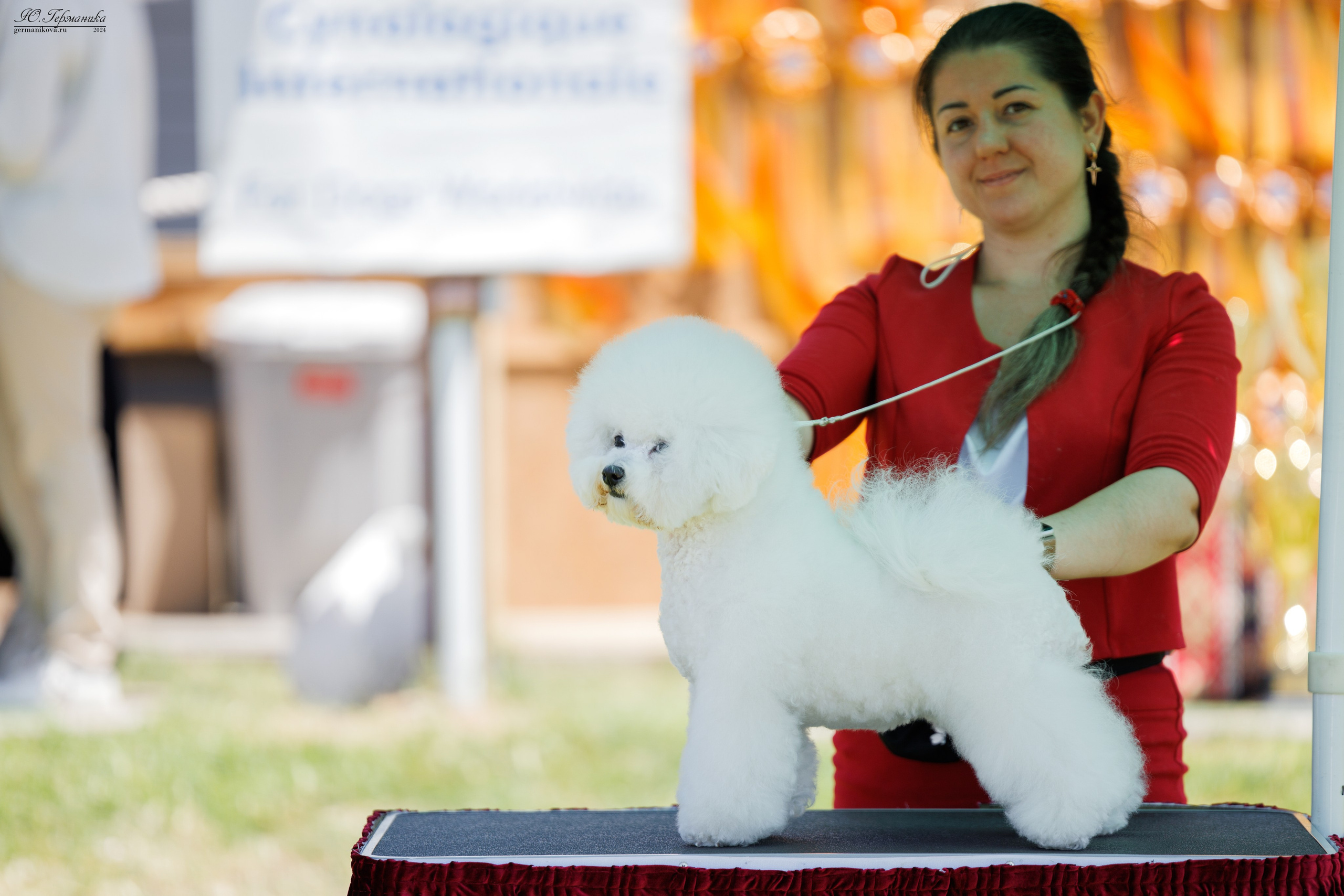 Ереван 3-5.06.2024. Фотограф-анималист Юлия Германика