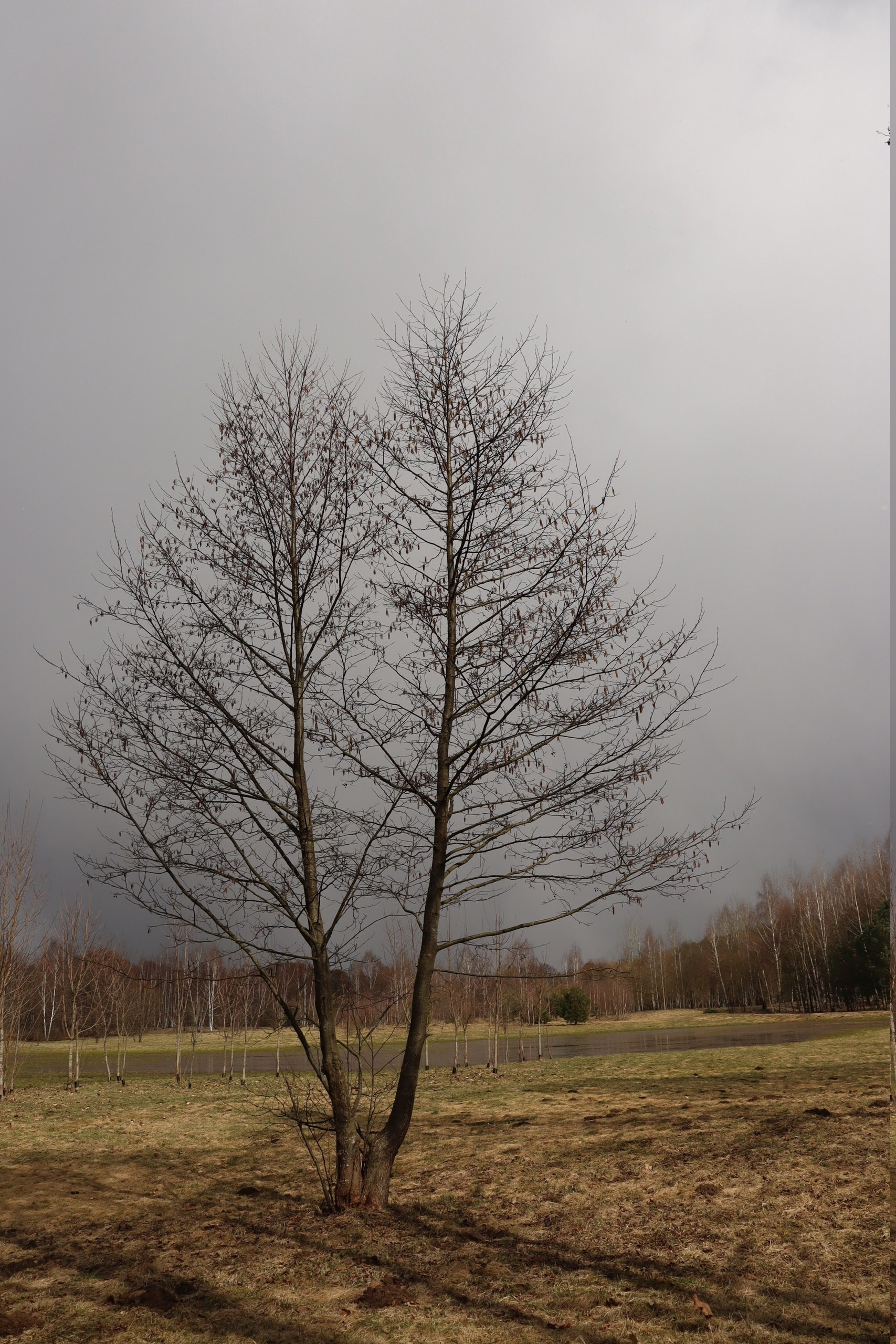 До/после ученики. Наталья Рапопорт. Онлайн-курсы по фотографии и съемке видео