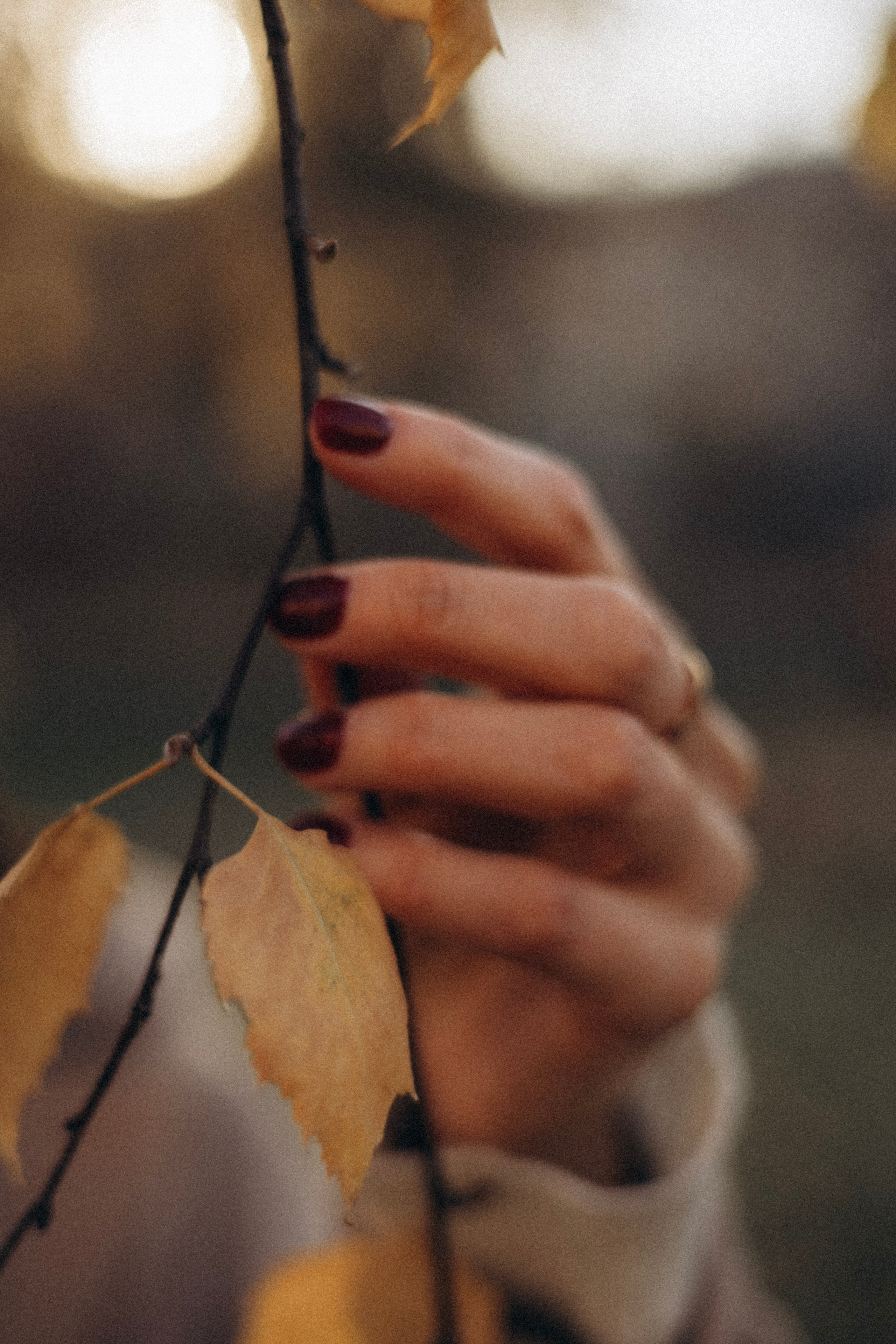 Ксения. Семейный фотограф в Красноярске Екатерина Гайнутдинова