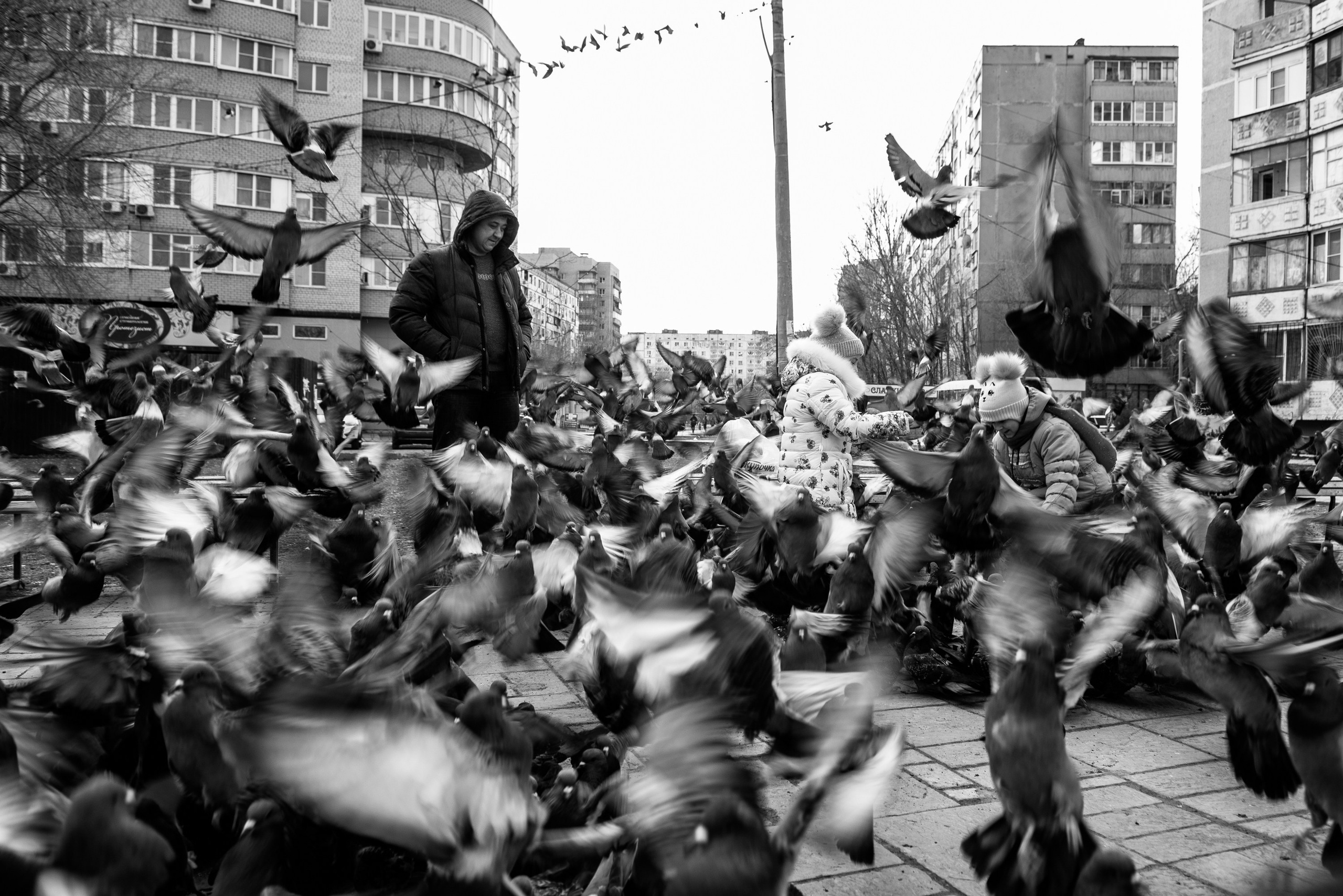 3 Юго-восток. Фотограф Анатолий Деникин