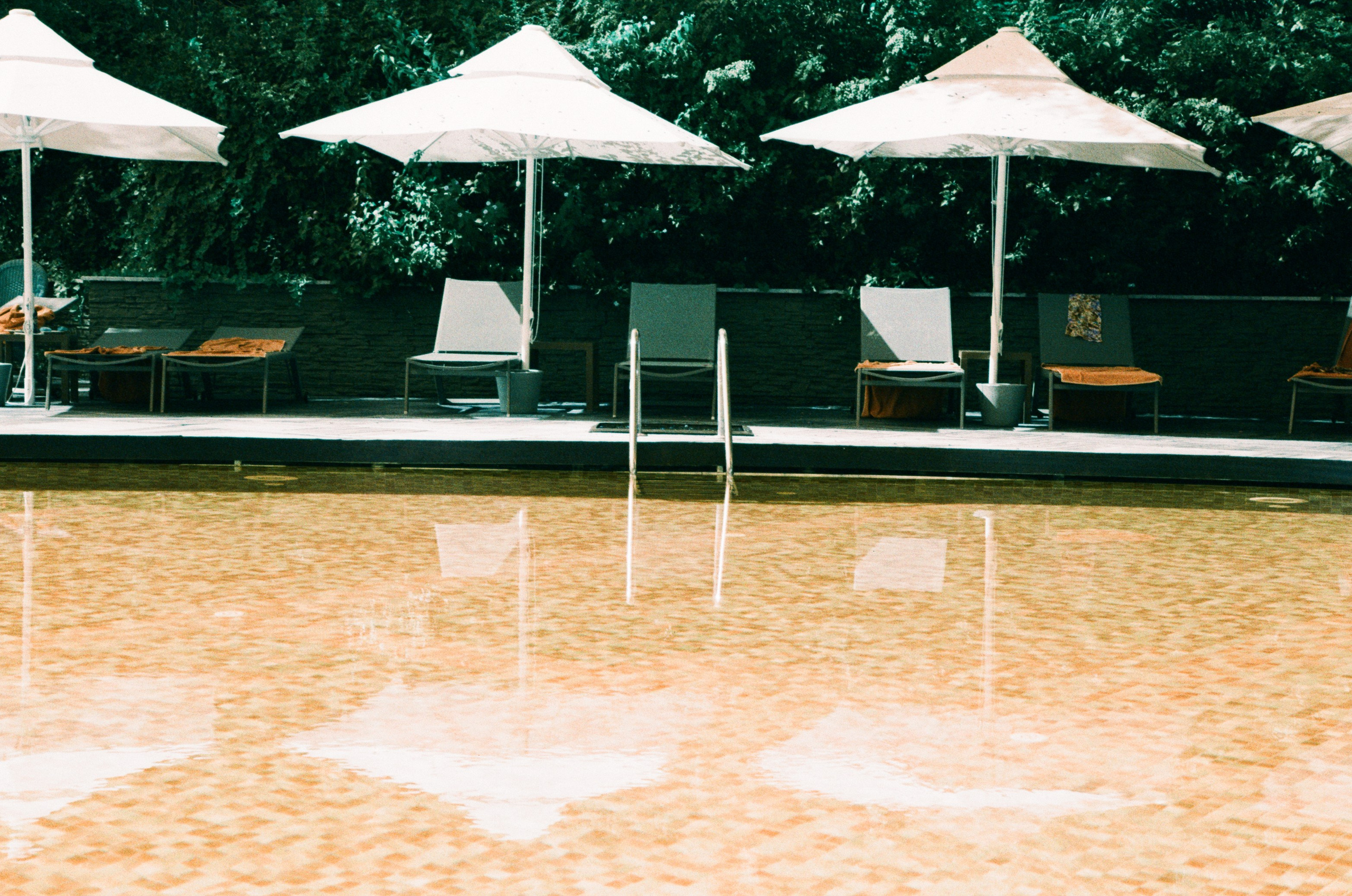 Пленка. Фотограф Елена Лаврова