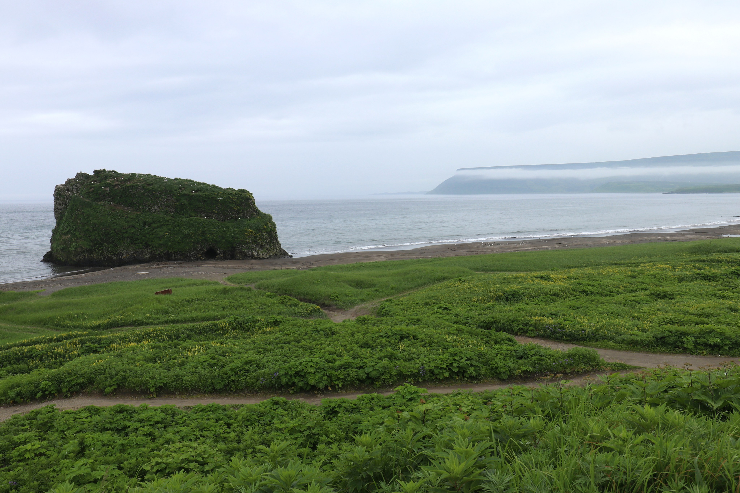 Камчатка и о. Парамушир. Июль 2024. Путешественник-фотограф из Санкт-Петербурга Татьяна Свистулина