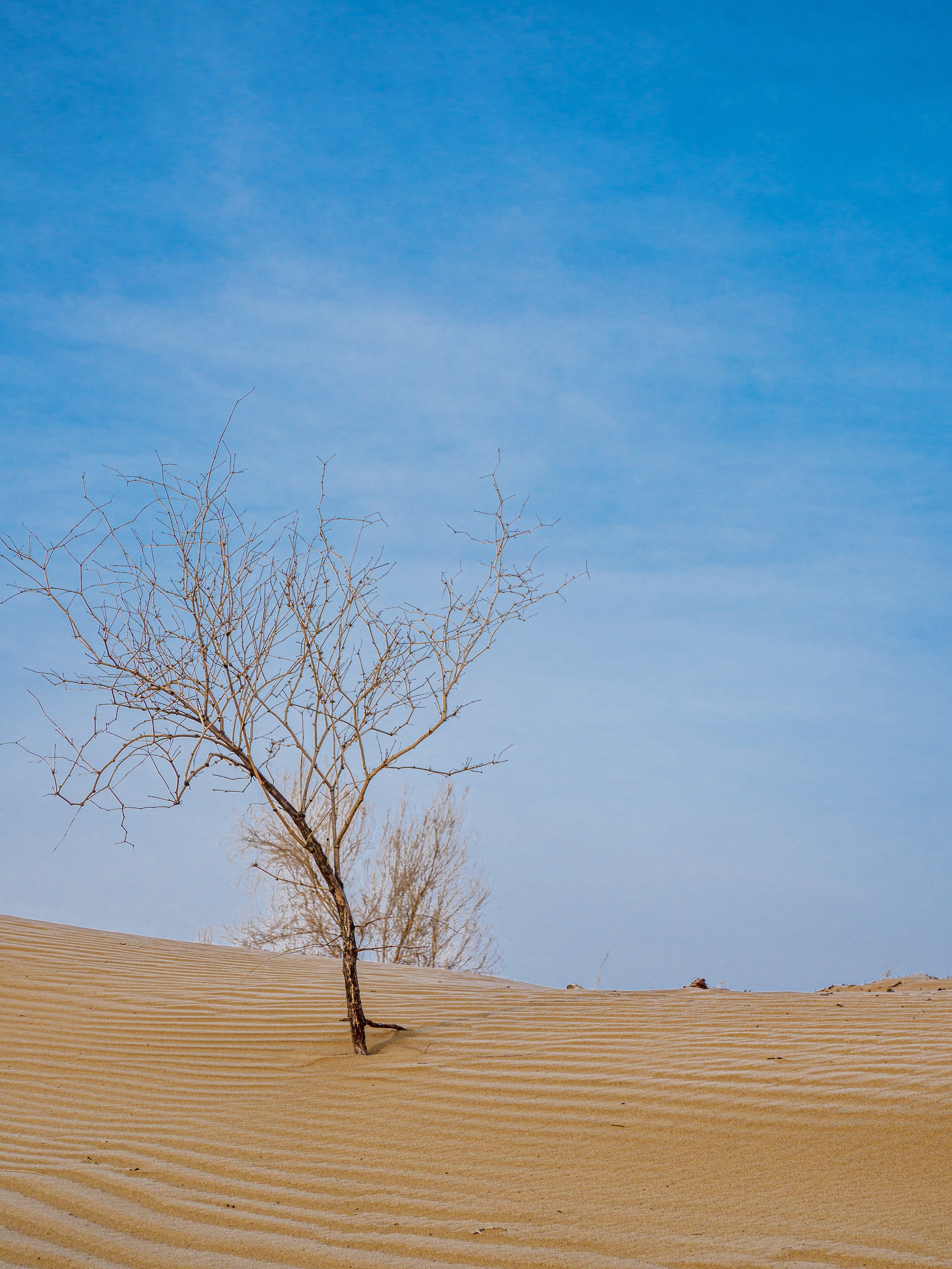 Узбекистан — Самарканд, Бухара, Хива. Творческие сьемки