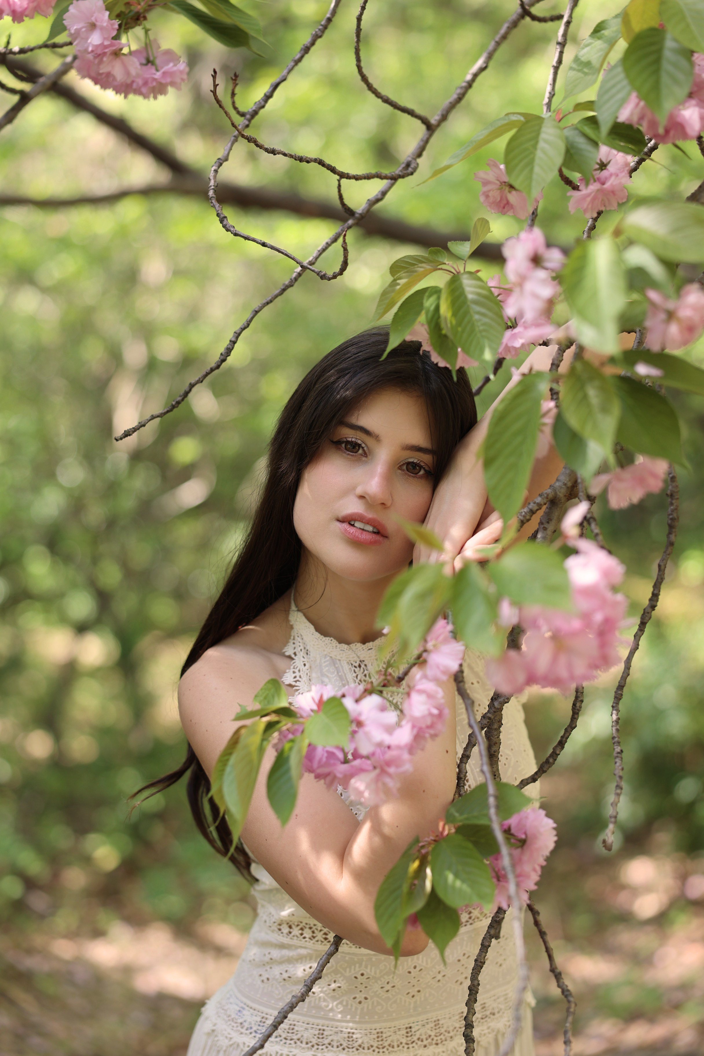 Busan Photographer. Photographer in Busan | Royal Cherry Blossom Solo Photoshoot
