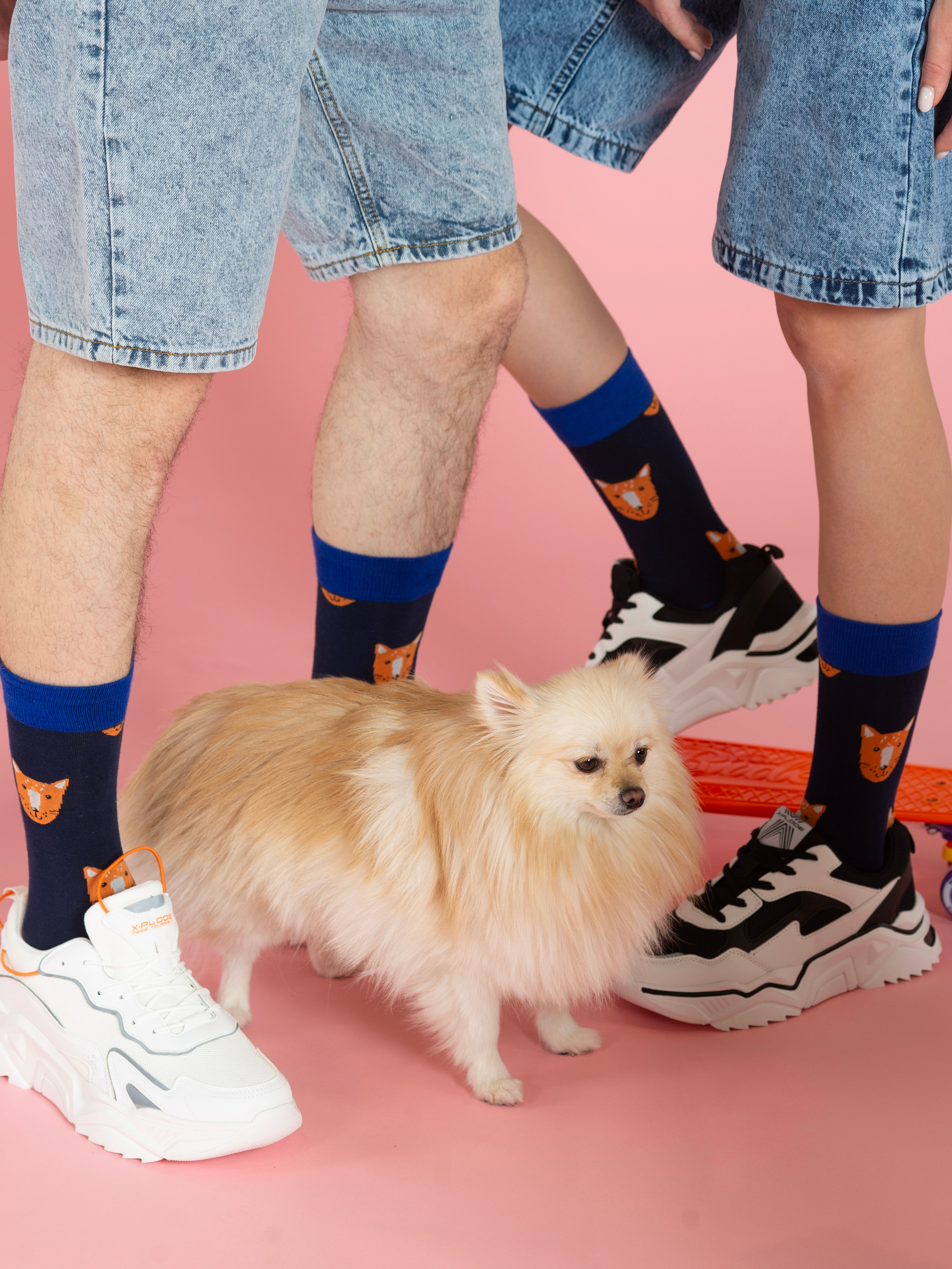 Каталог. Фотограф