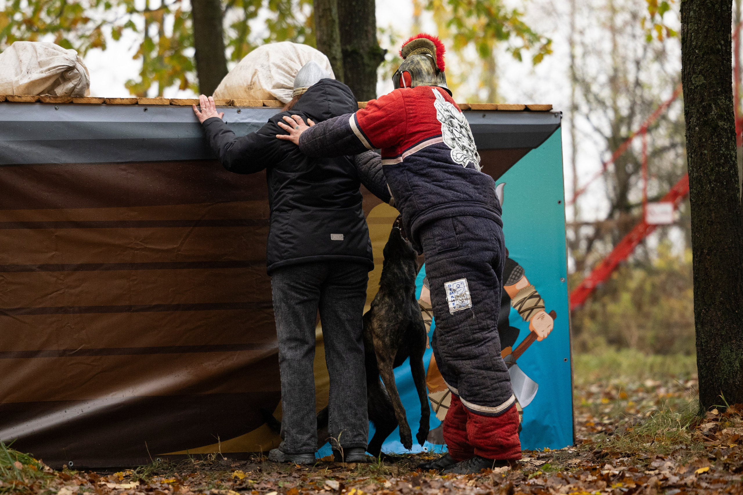 Соревнования по Мондьорингу г. Вологда. Фотограф-анималист Анна Маринич