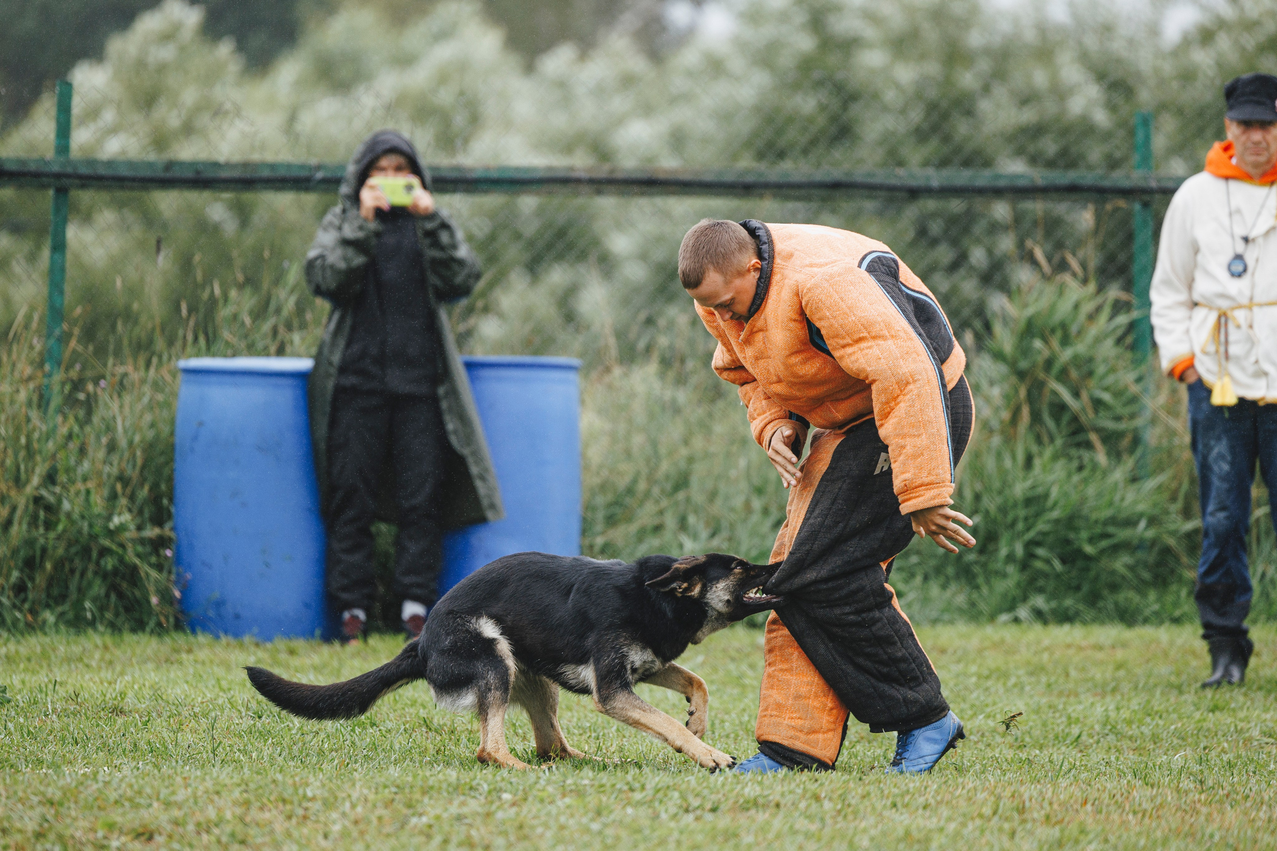 08.08.25-10.08.25 ЧР по мондьорингу г. Вологда. Фотограф-анималист Анна Маринич