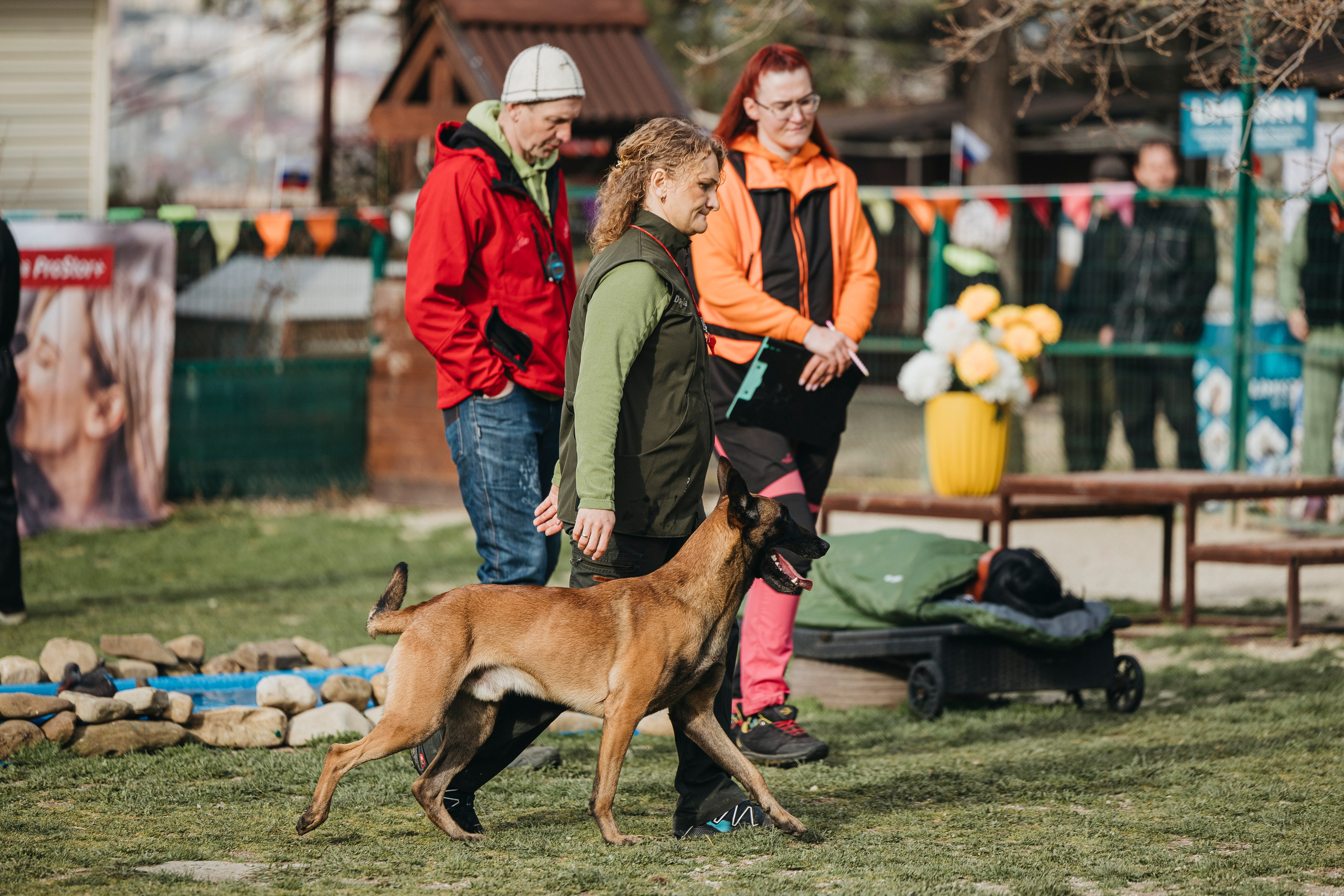 Геленджик Мондьоринг. Фотограф-анималист Анна Маринич