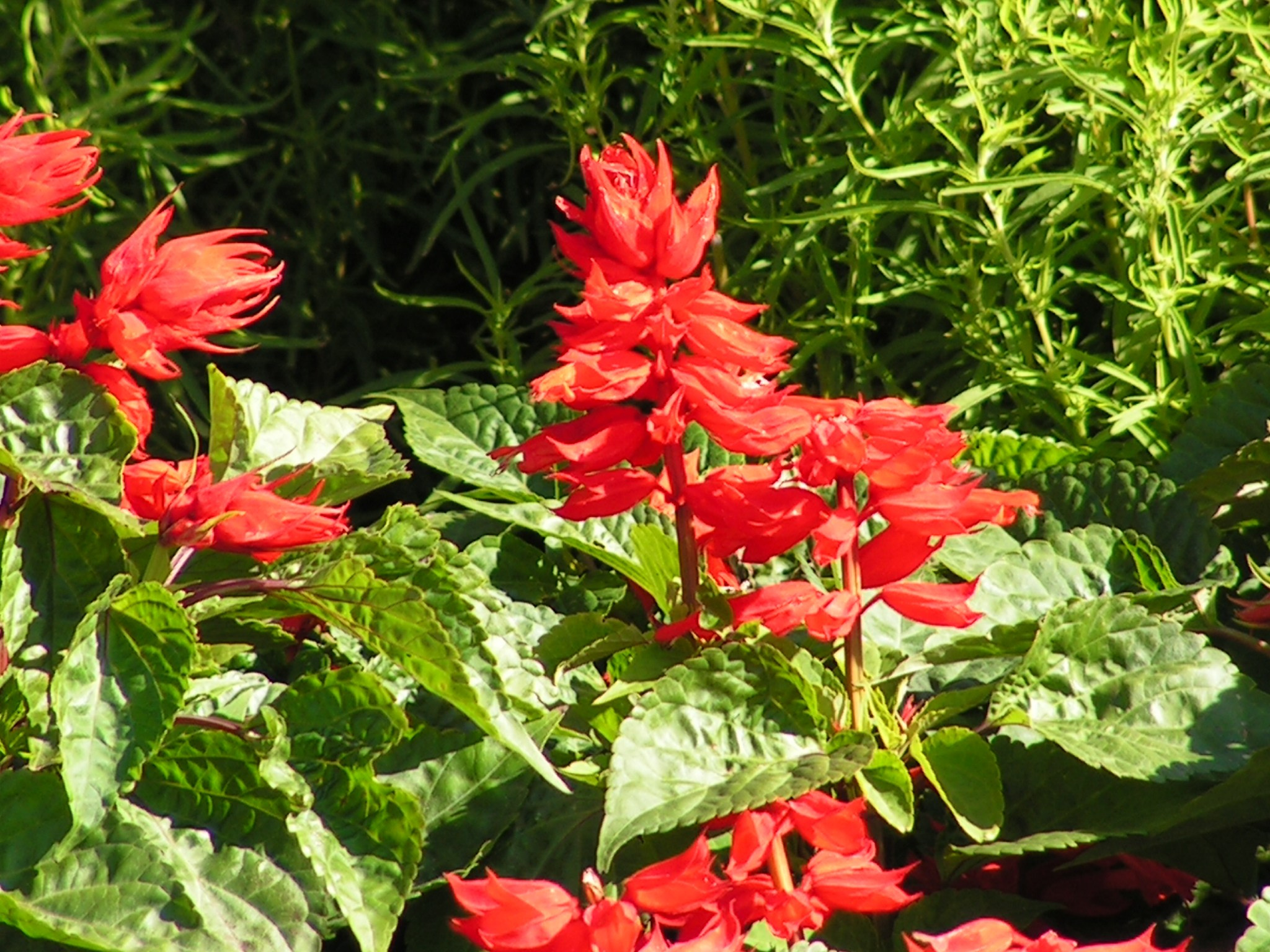 Песочные фигуры с Рускалевы 20.09.2009. Семейный, Свадебный фотограф СПБ Питер— Романова Екатерина