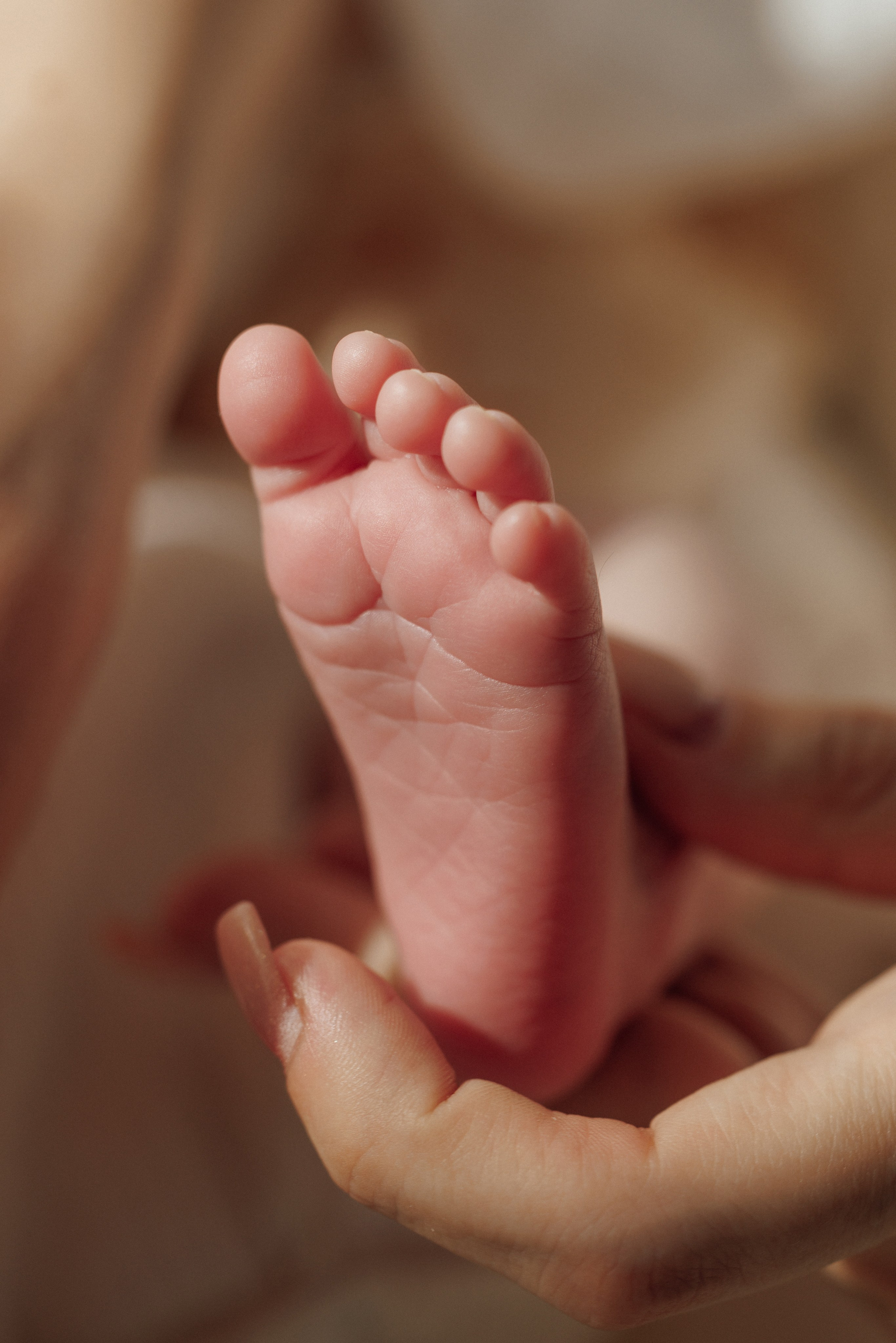 Новорожденные. Кристина Москвина. Портретный фотограф