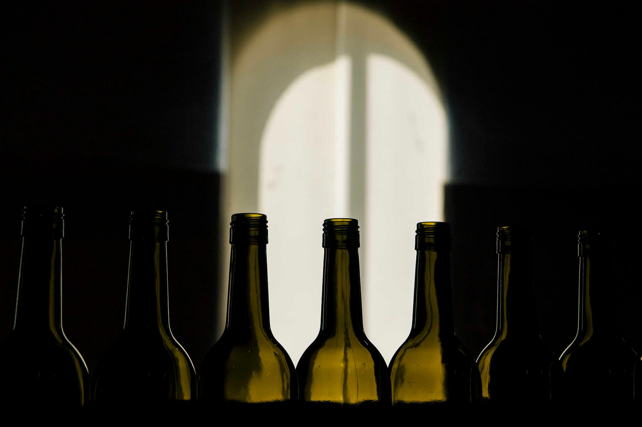 Винодельни Краснодарского края. Фотограф Михаил Мордасов, Сочи. Мероприятия, портреты, спорт, репортаж