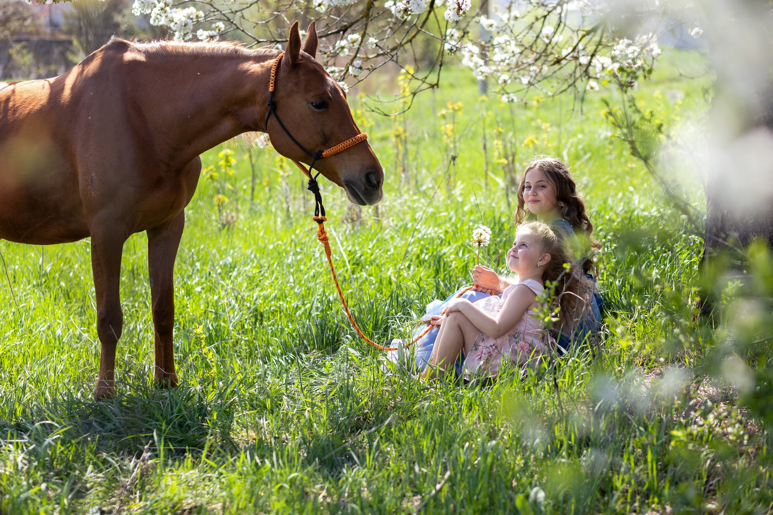 Фотосессии с лошадьми. Ваш фотограф в Крыму | Соболевская Анастасия