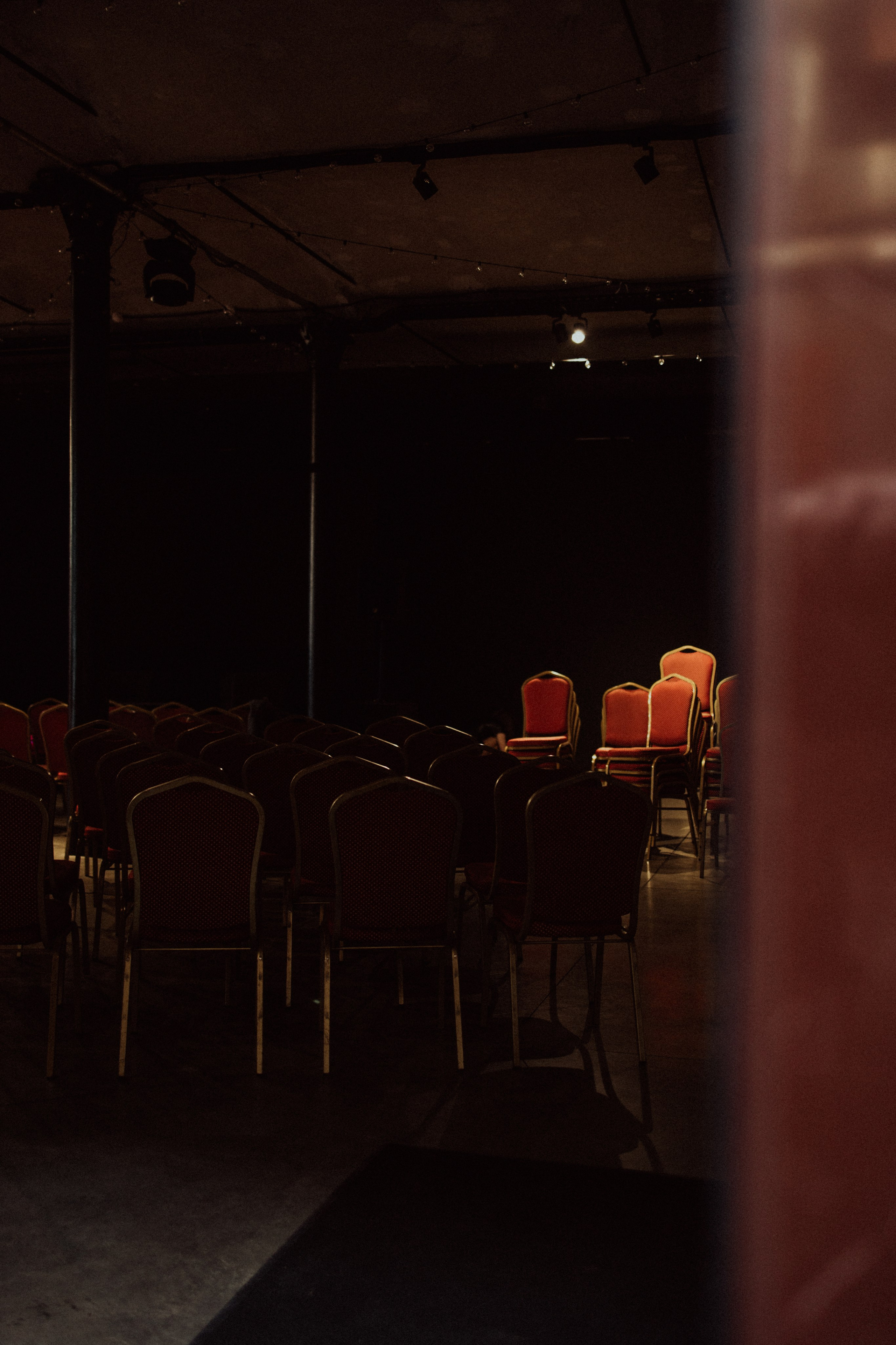 CBcon. Фотограф анималист в Москве Майорова Евгения