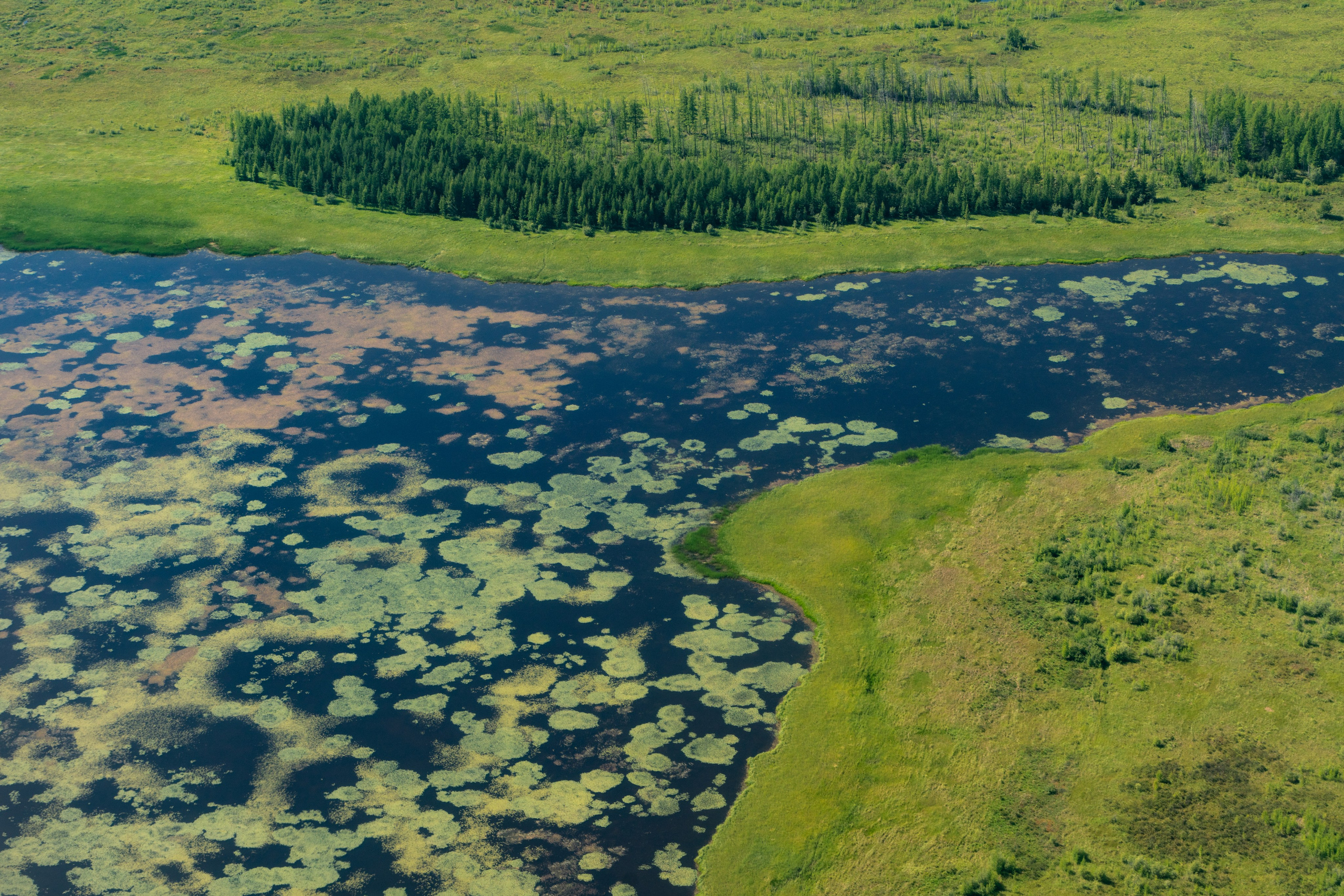 Планета Колыма. Элина Гусарова