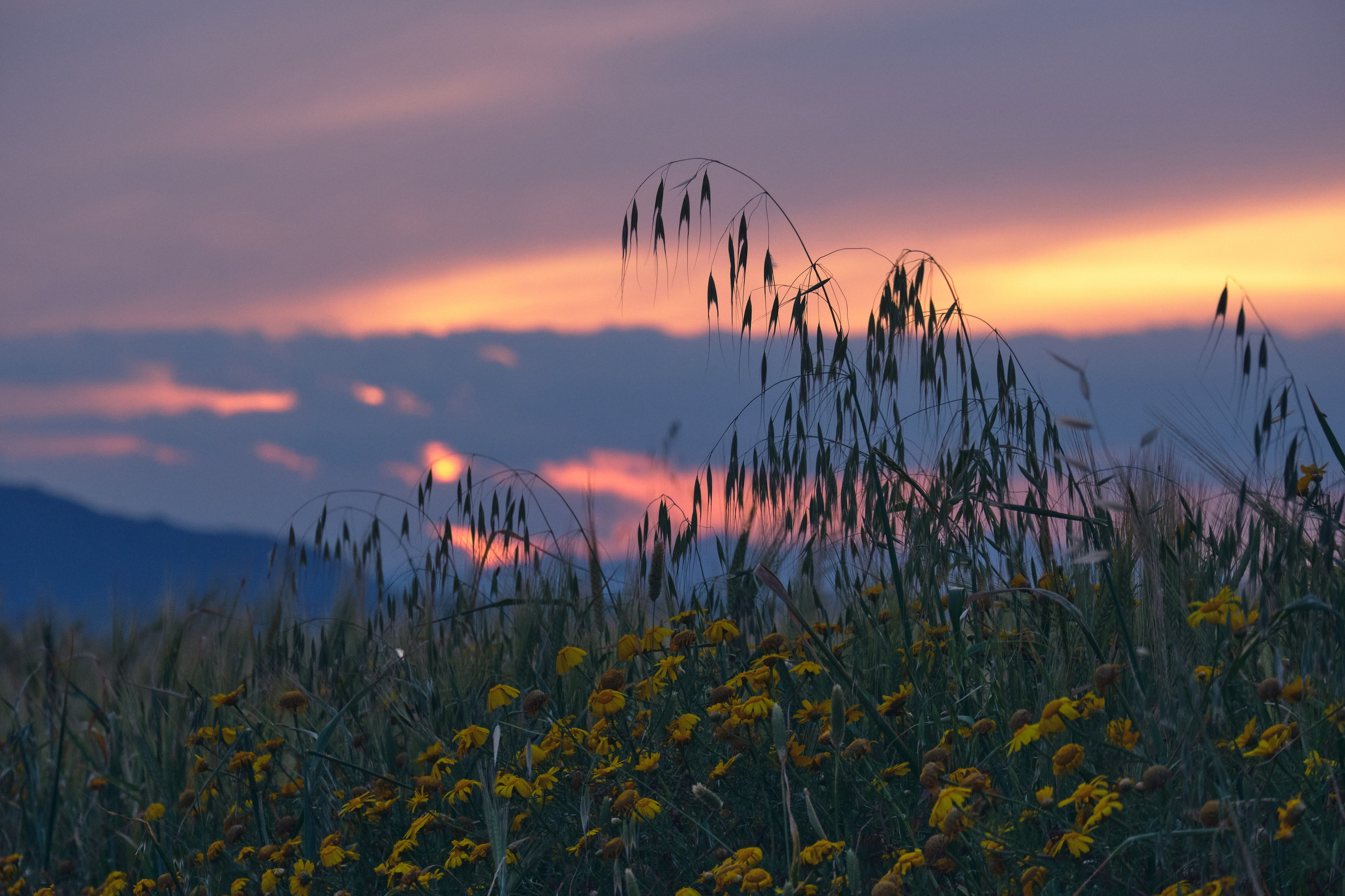 Cyprus 2024 / march. Aleksandr Kobtsev