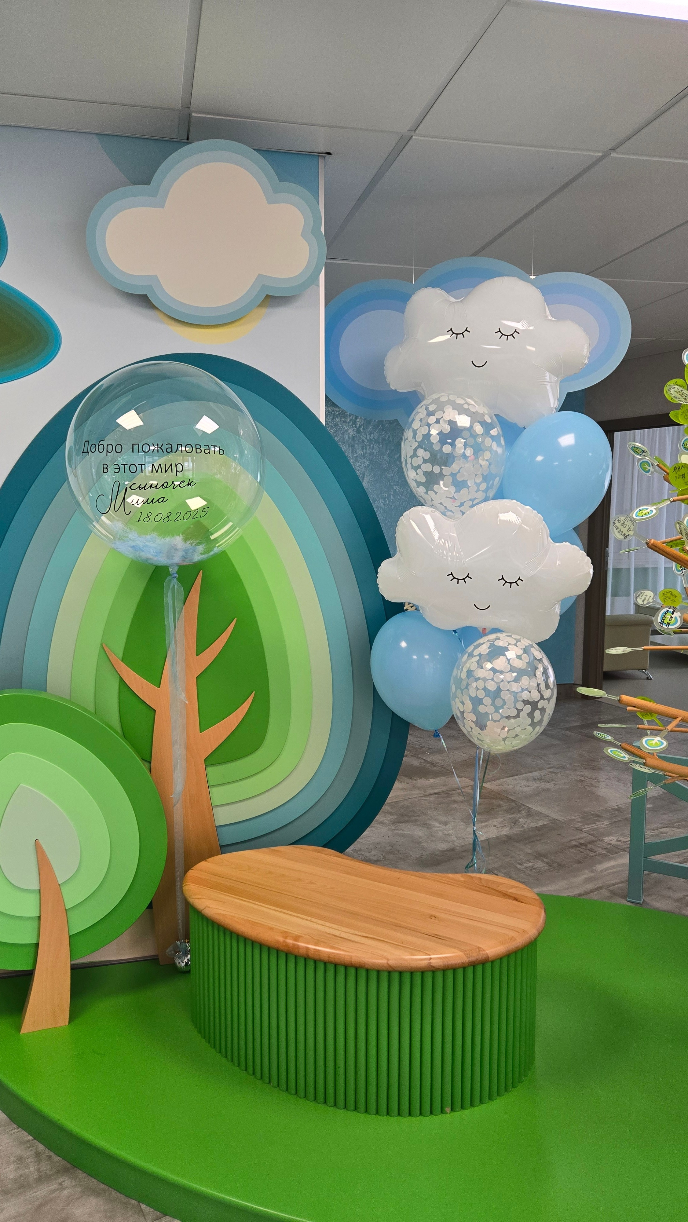 Фотограф в роддоме Сестрорецком г. Санкт-Петербург Банасиковская Ксения