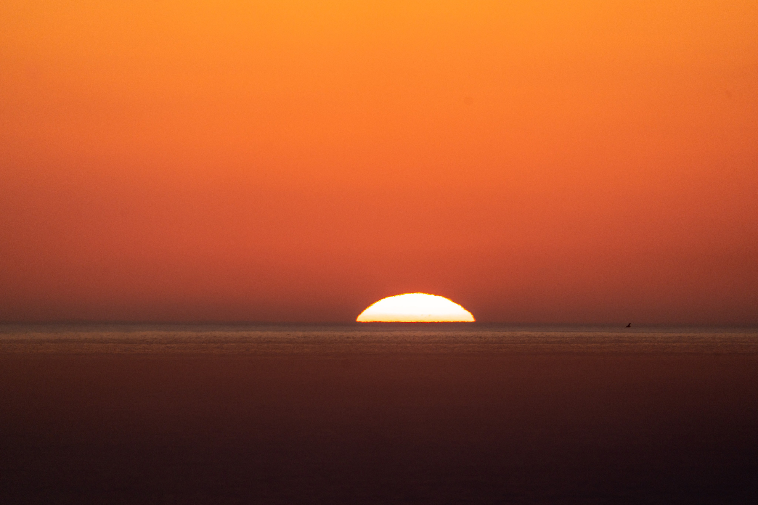 Сахалин 2025. Творческие сьемки